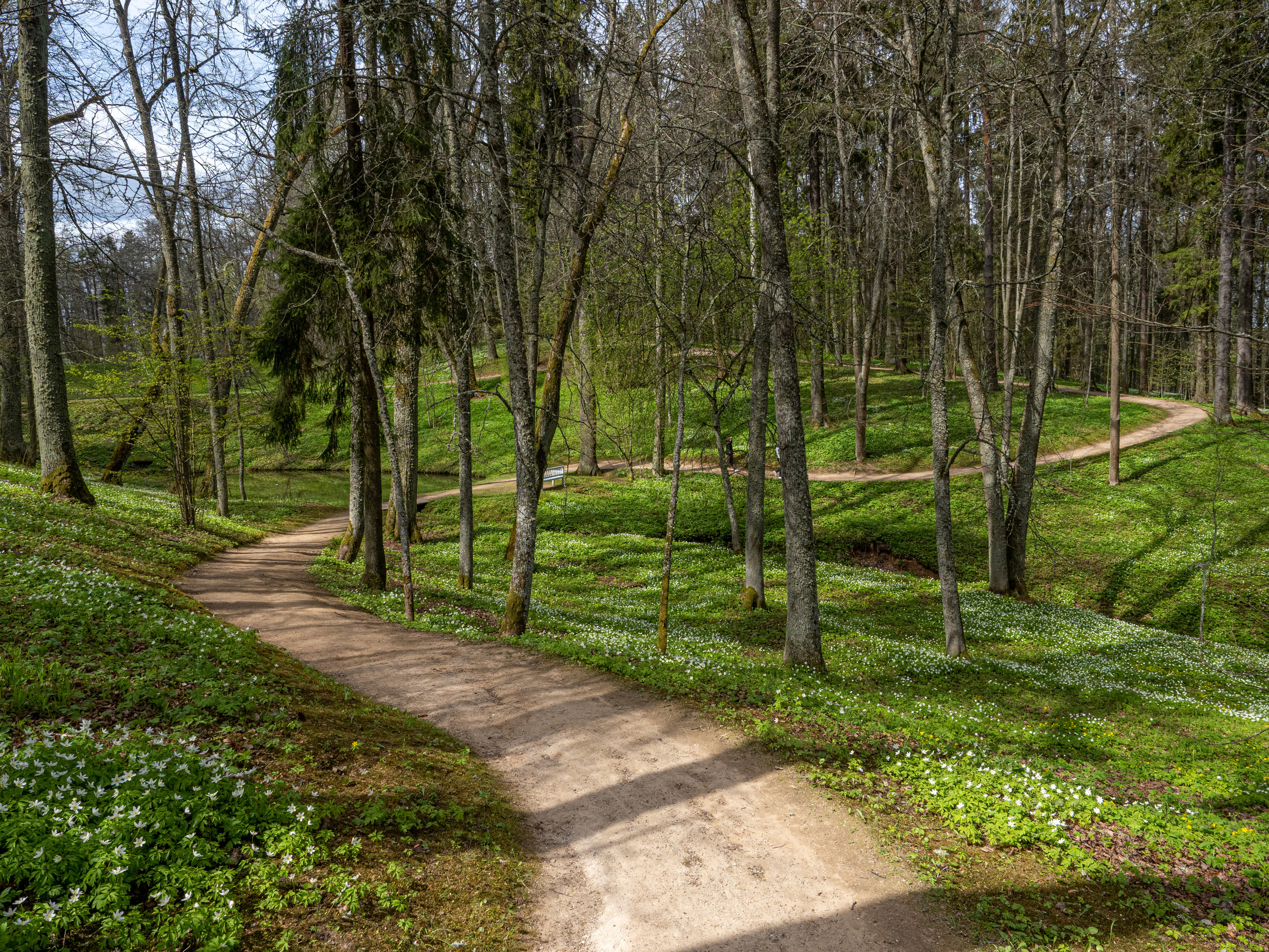 Пушкинские горы. Творческие сьемки