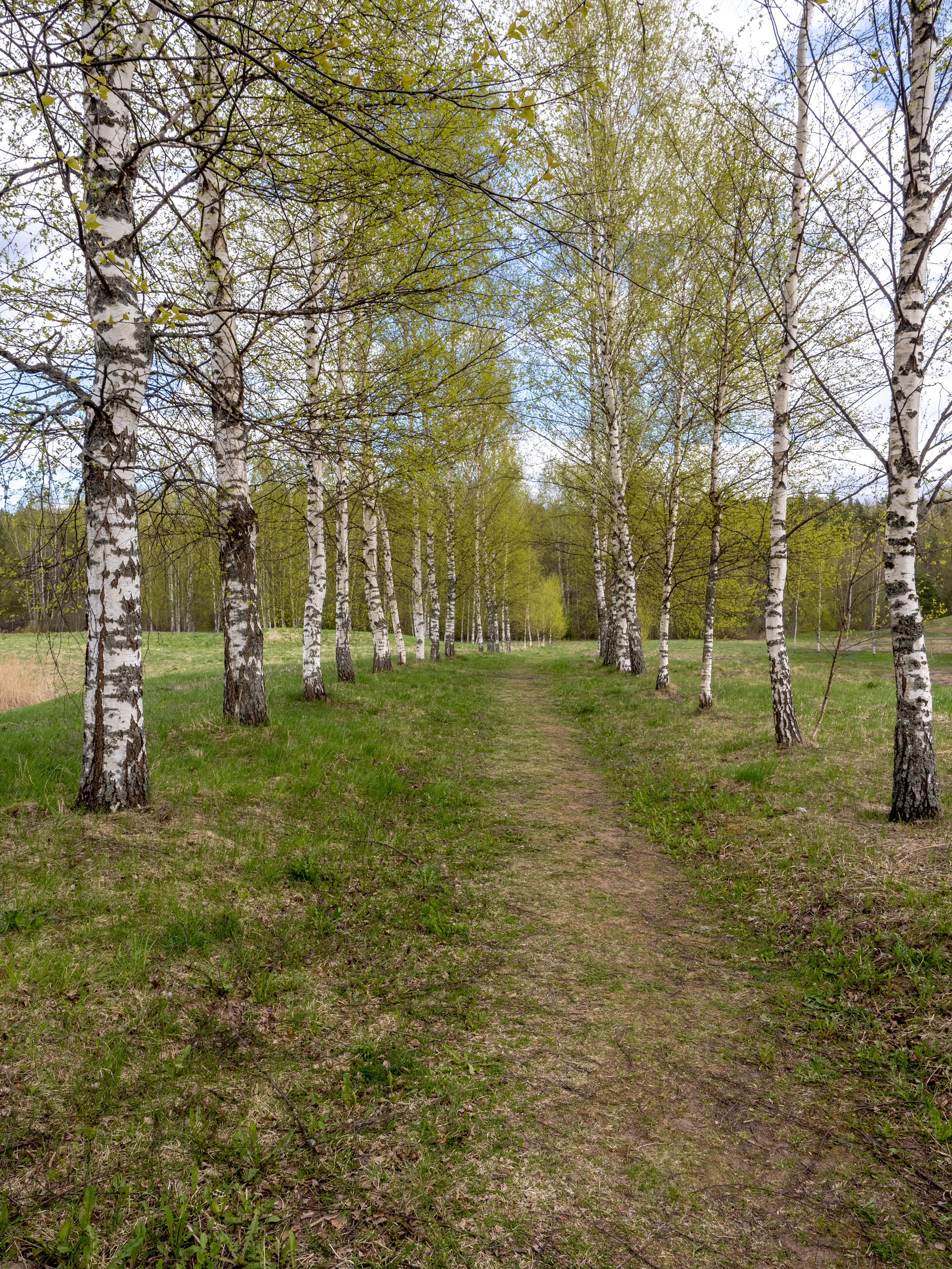 Пушкинские горы. Творческие сьемки