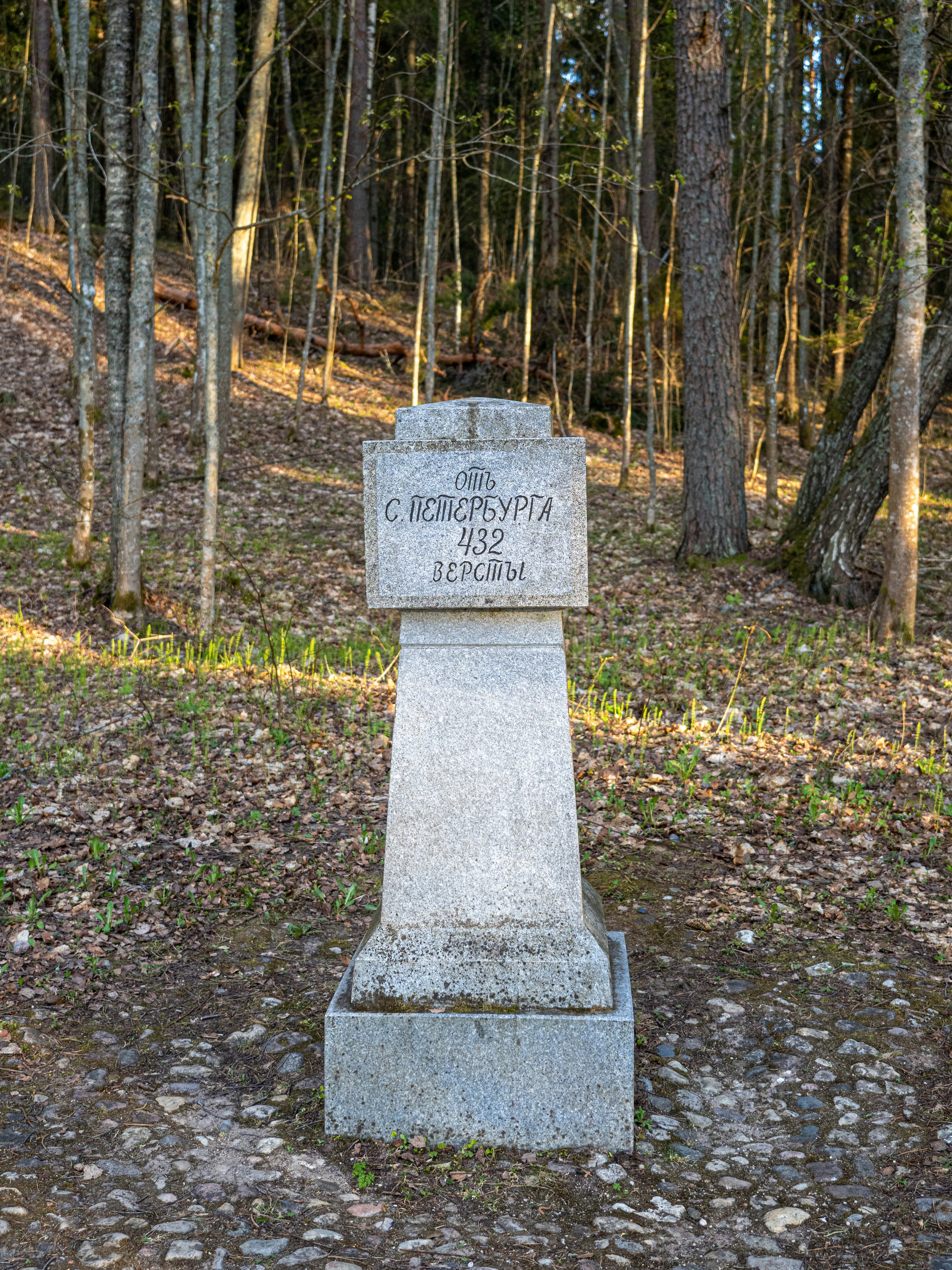 Пушкинские горы. Творческие сьемки