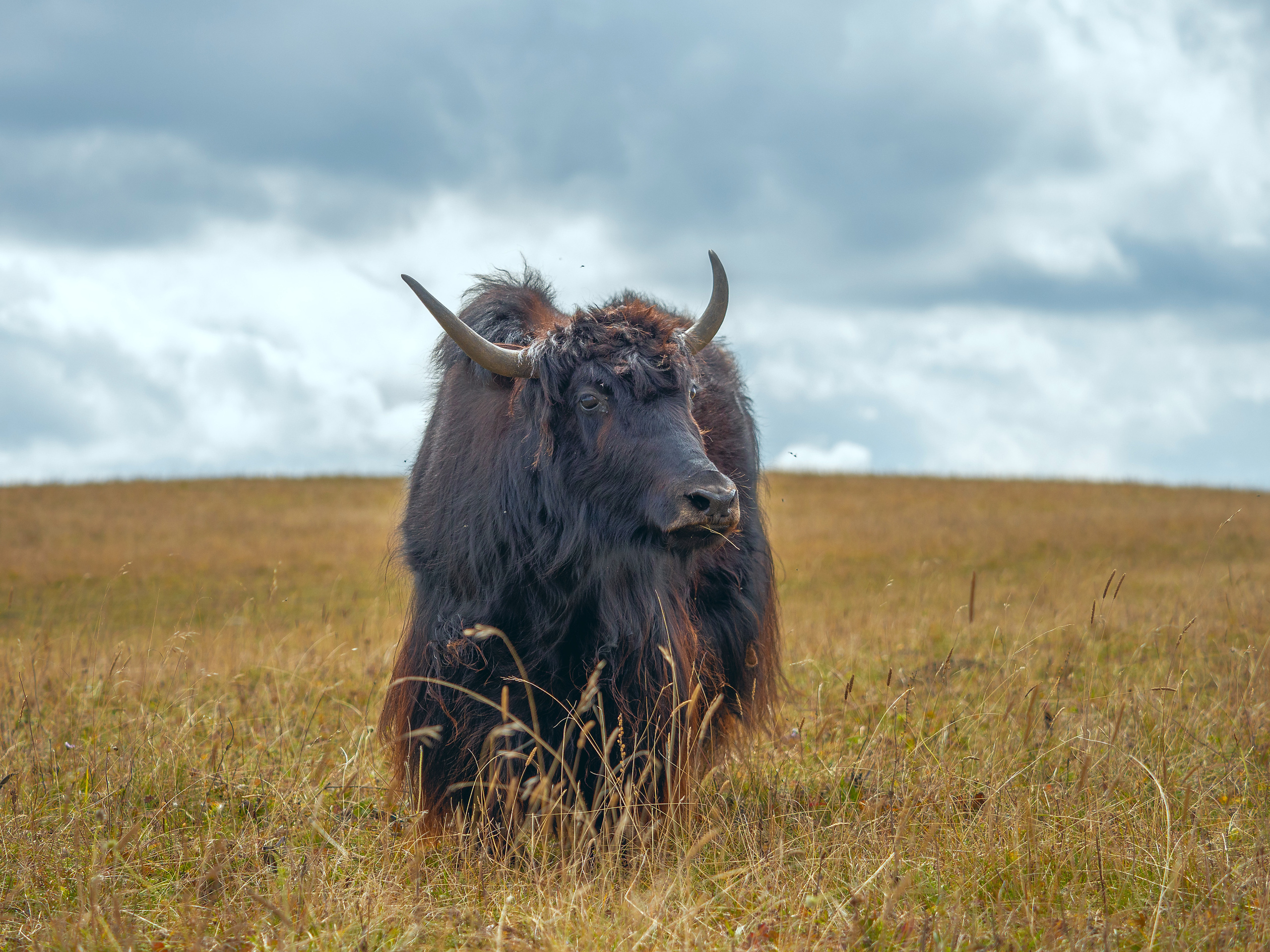 В окрестностях Эльбруса. Творческие сьемки