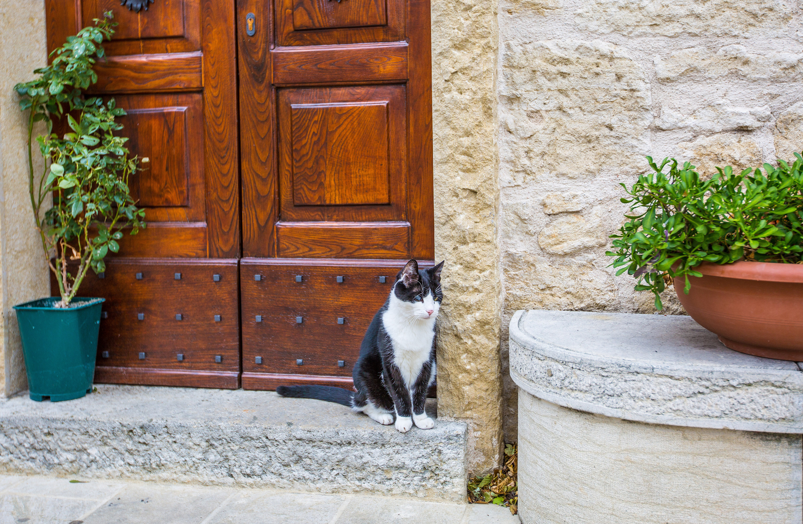 Италия. Творческие сьемки