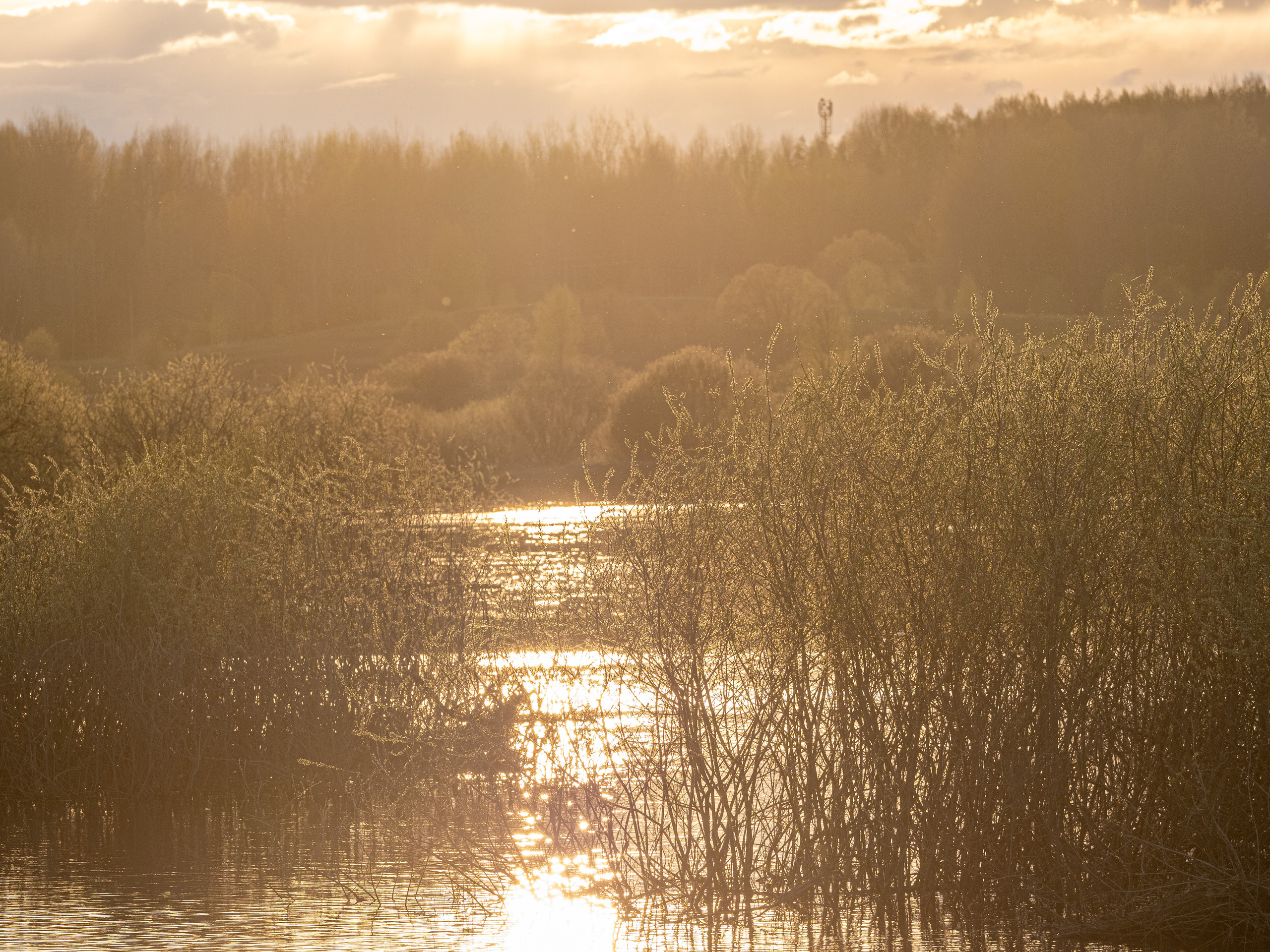Пушкинские горы. Творческие сьемки