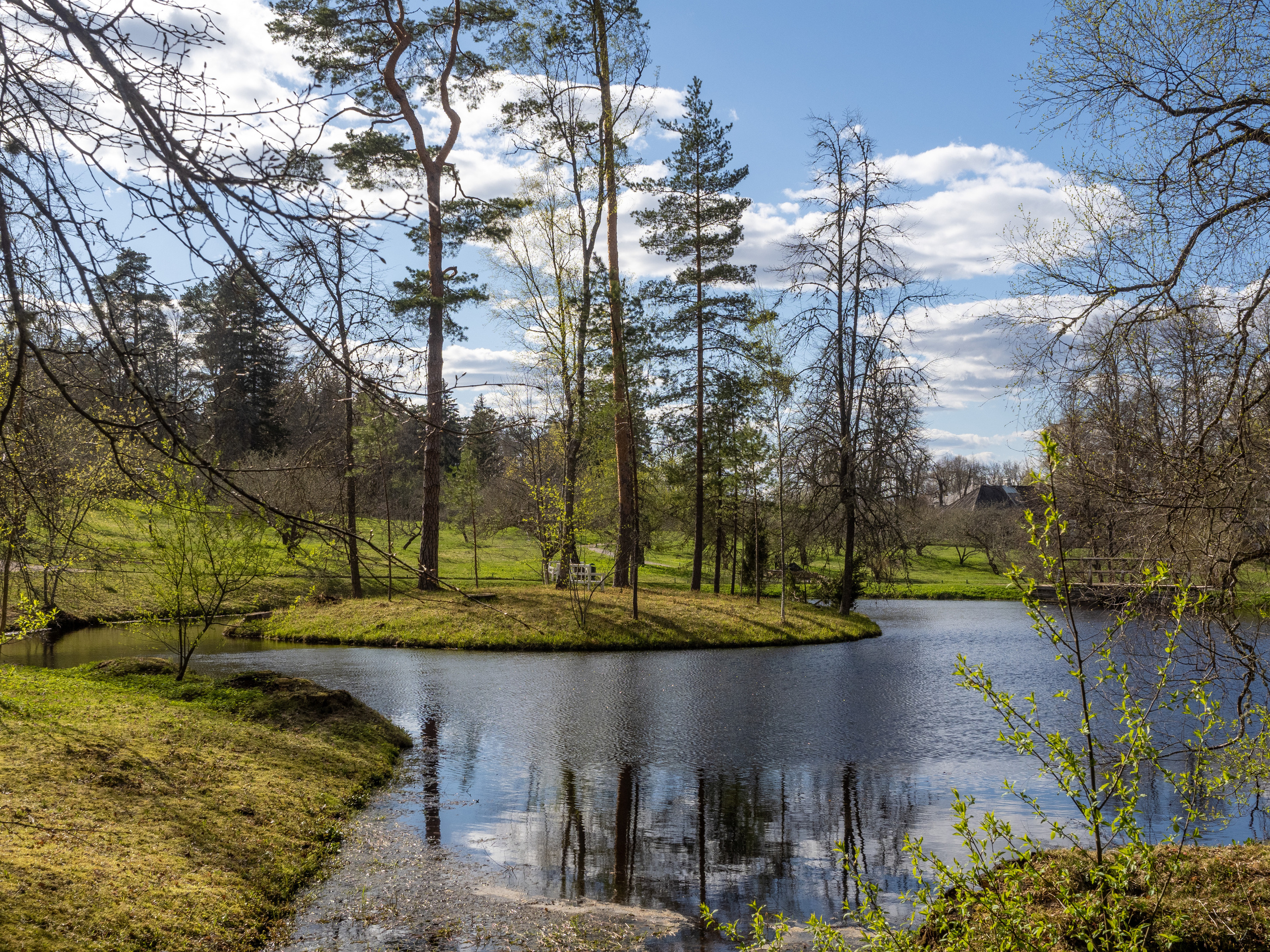 Пушкинские горы. Творческие сьемки