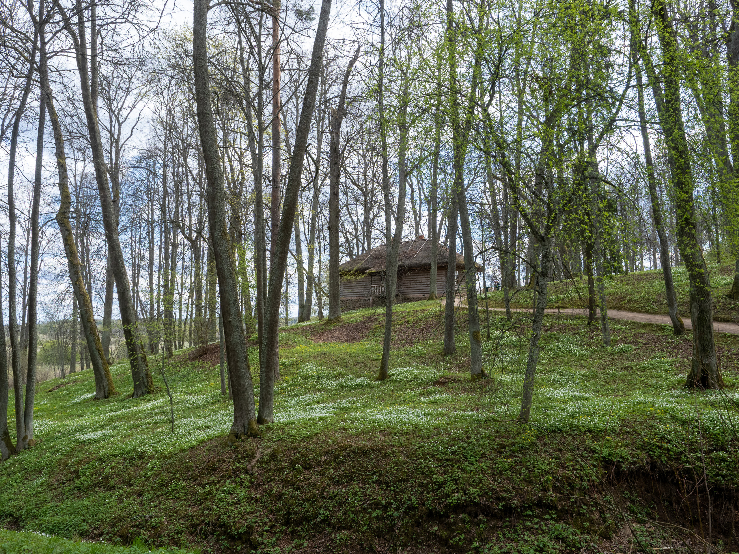 Пушкинские горы. Творческие сьемки