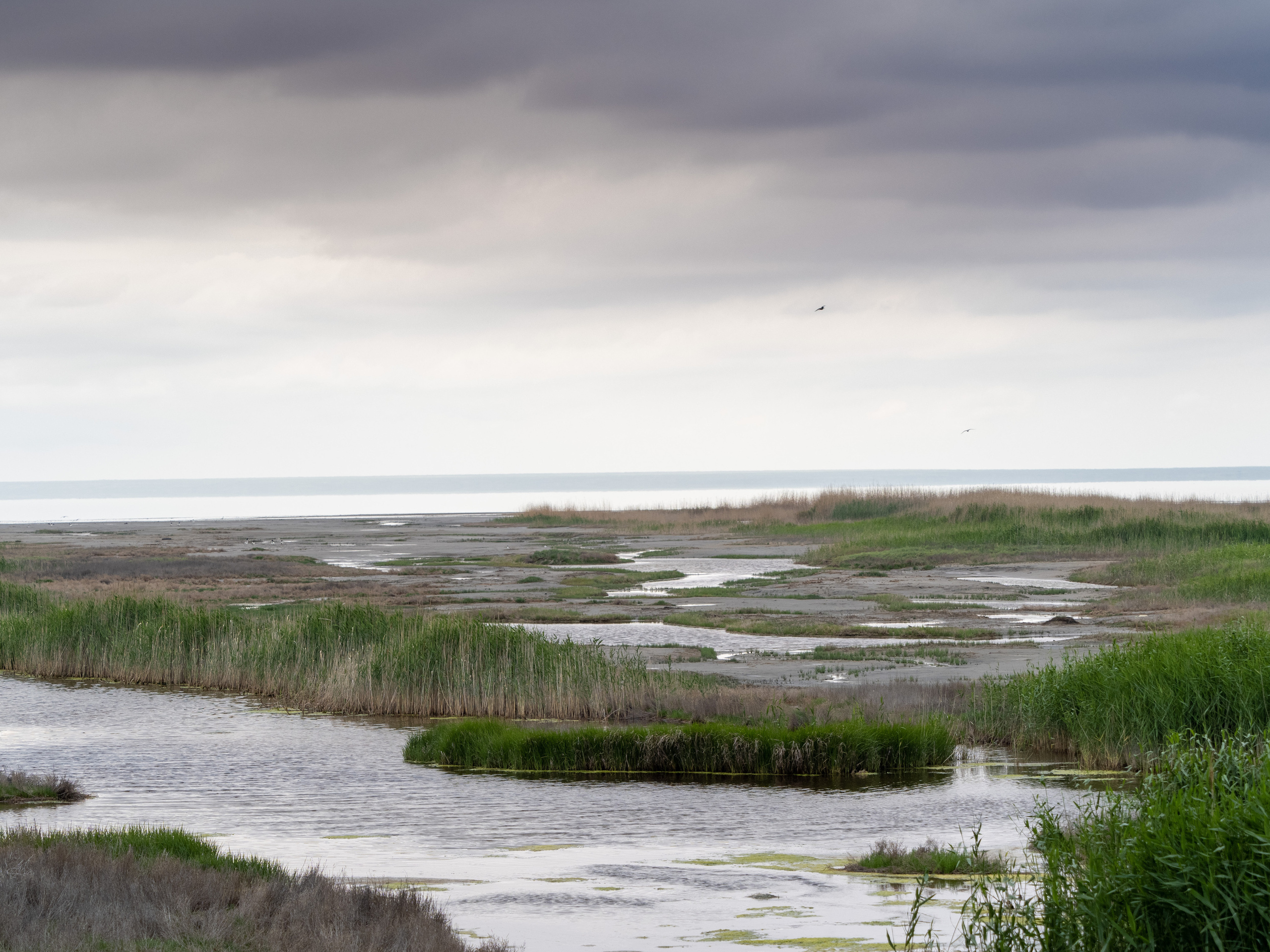 Озеро Эльтон. Творческие сьемки