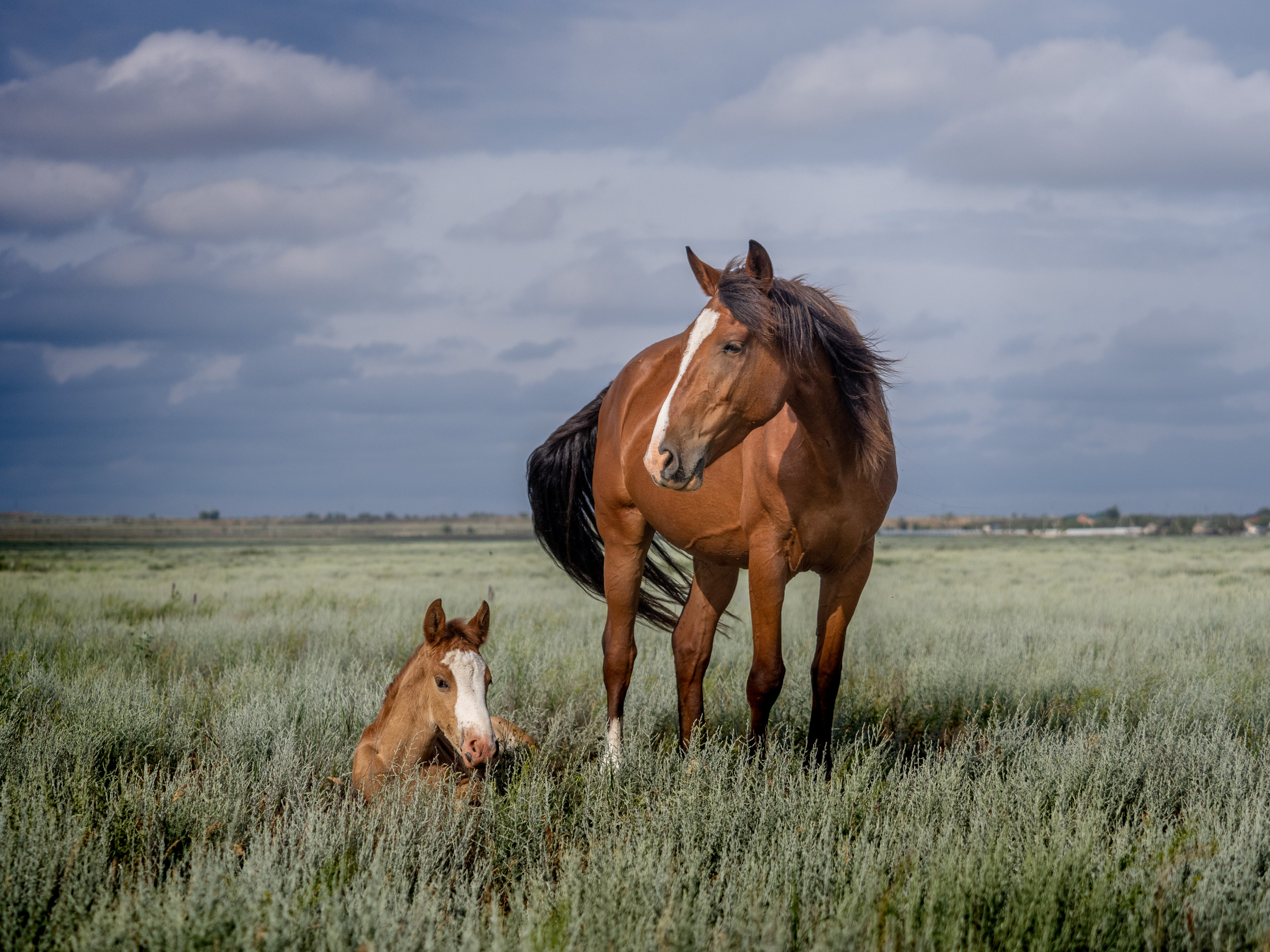 Озеро Эльтон. Творческие сьемки