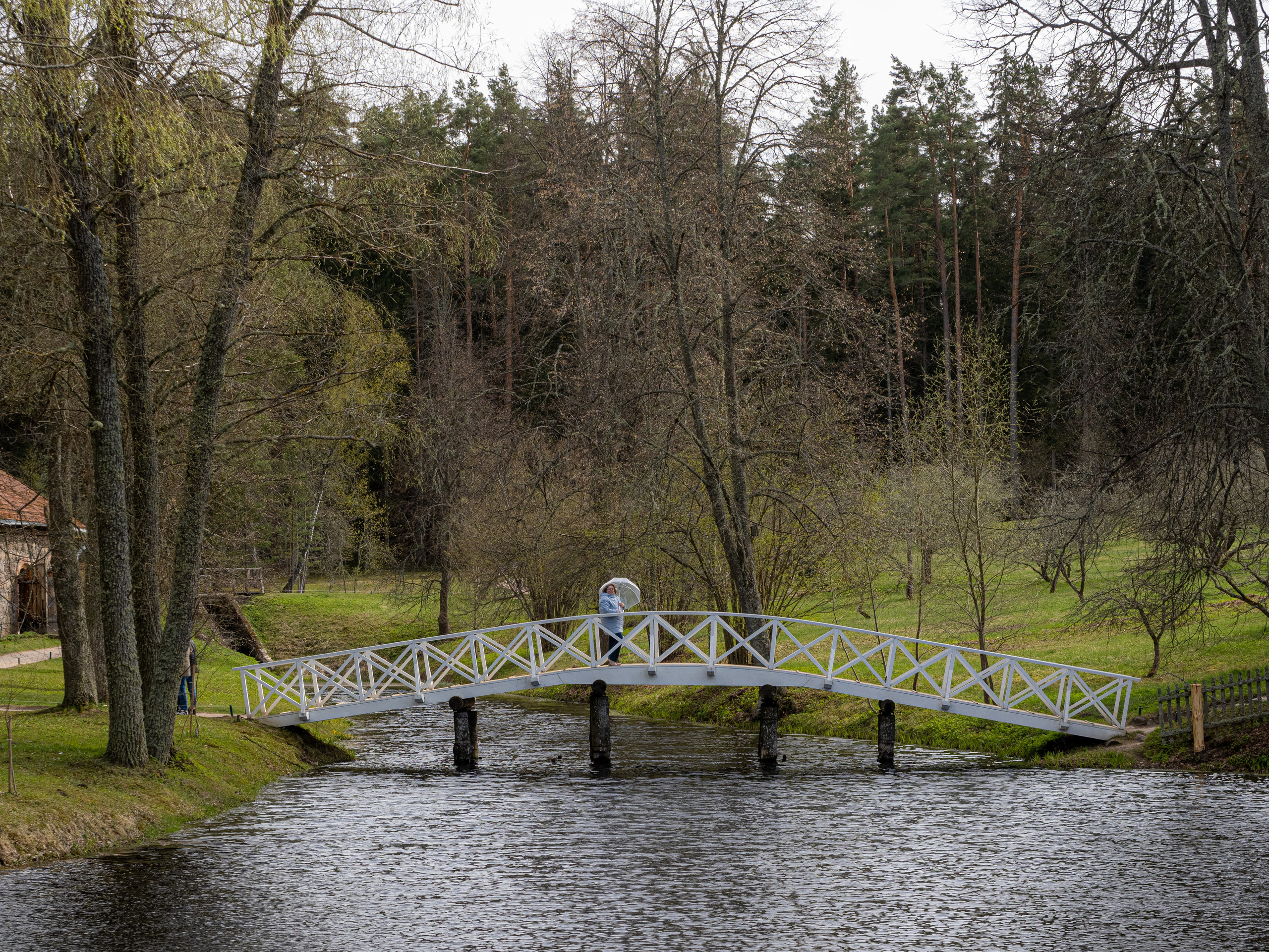 Пушкинские горы. Творческие сьемки