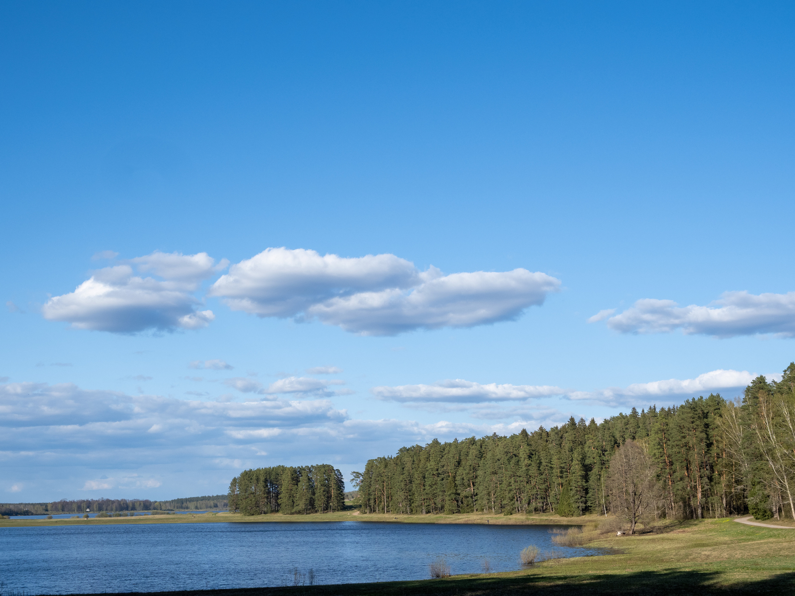 Пушкинские горы. Творческие сьемки