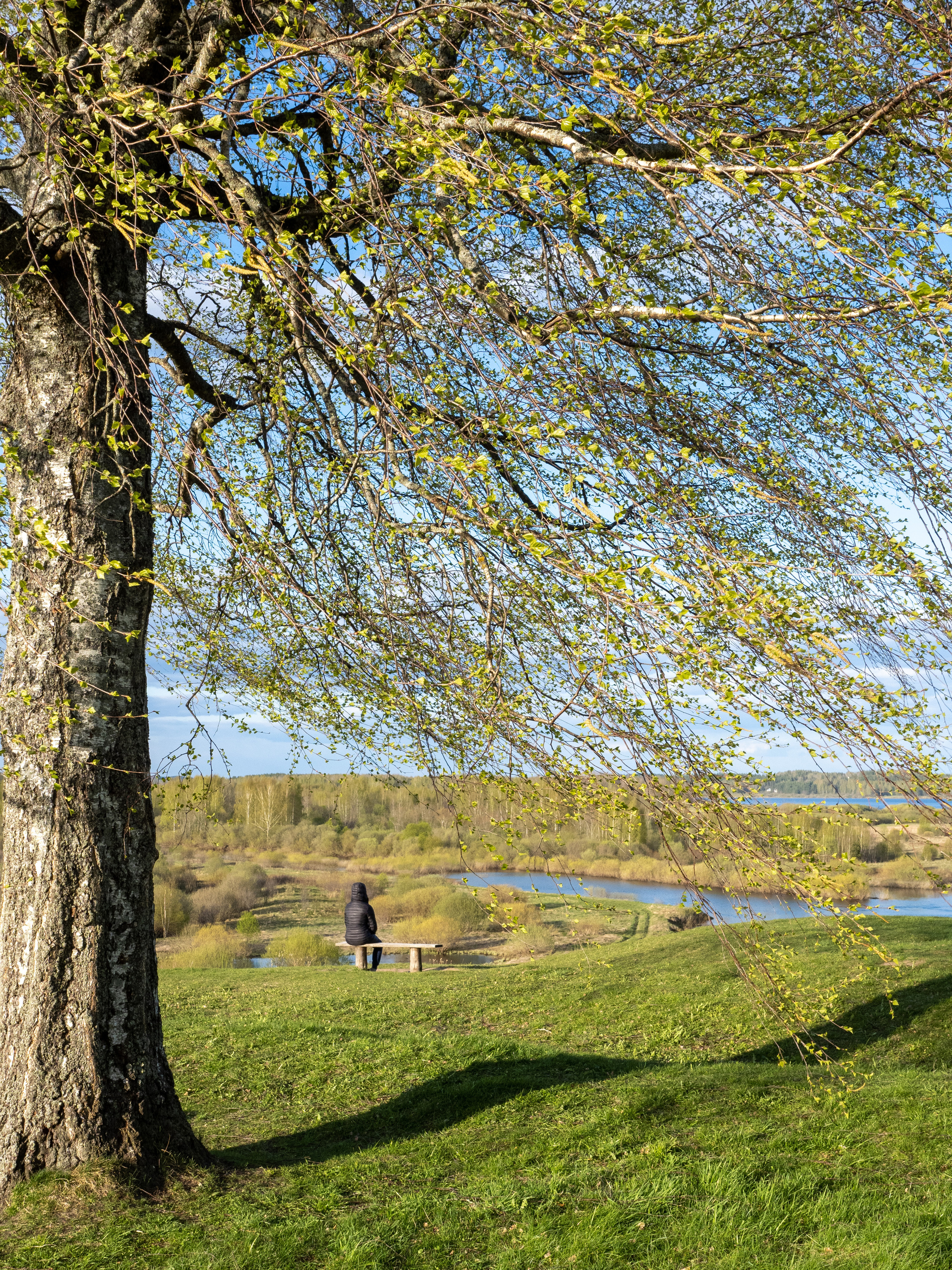 Пушкинские горы. Творческие сьемки