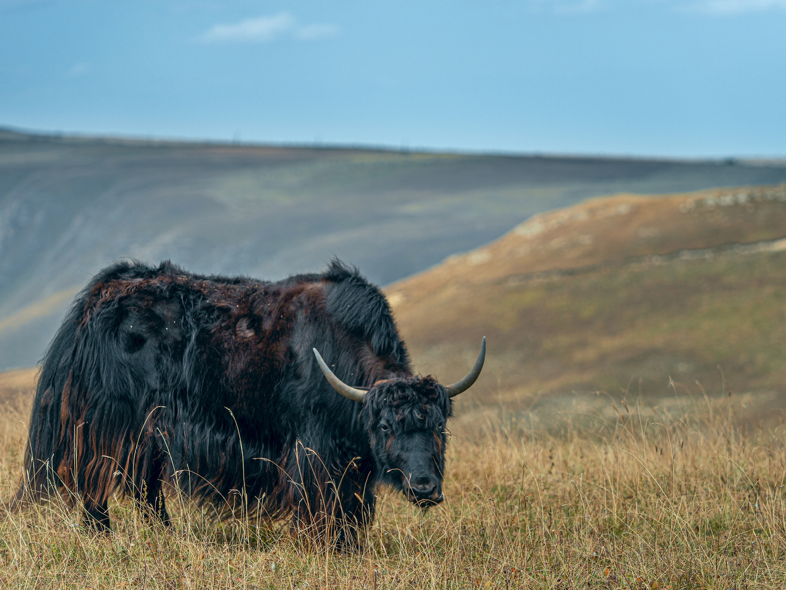 В окрестностях Эльбруса. Творческие сьемки