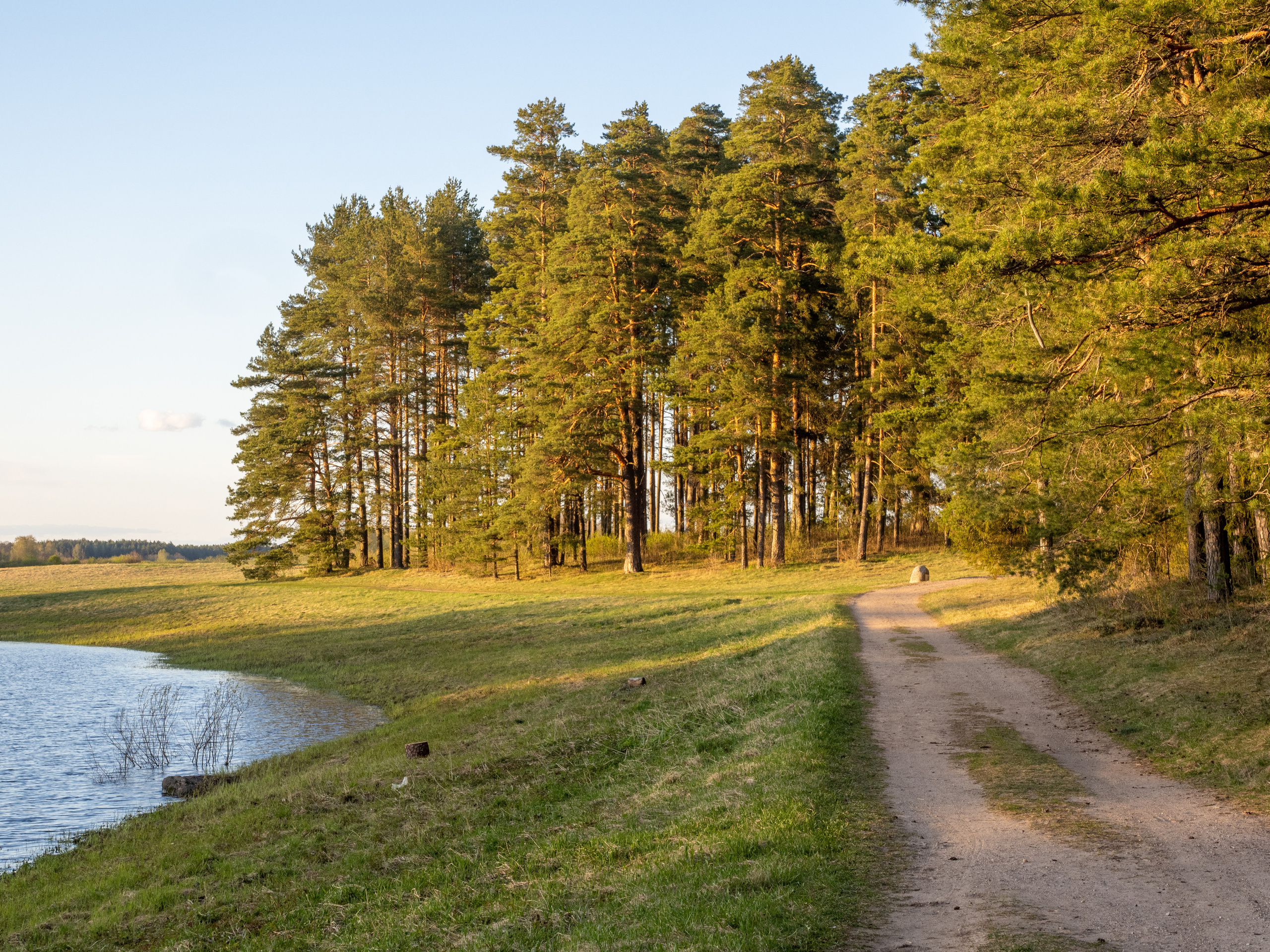 Пушкинские горы. Творческие сьемки