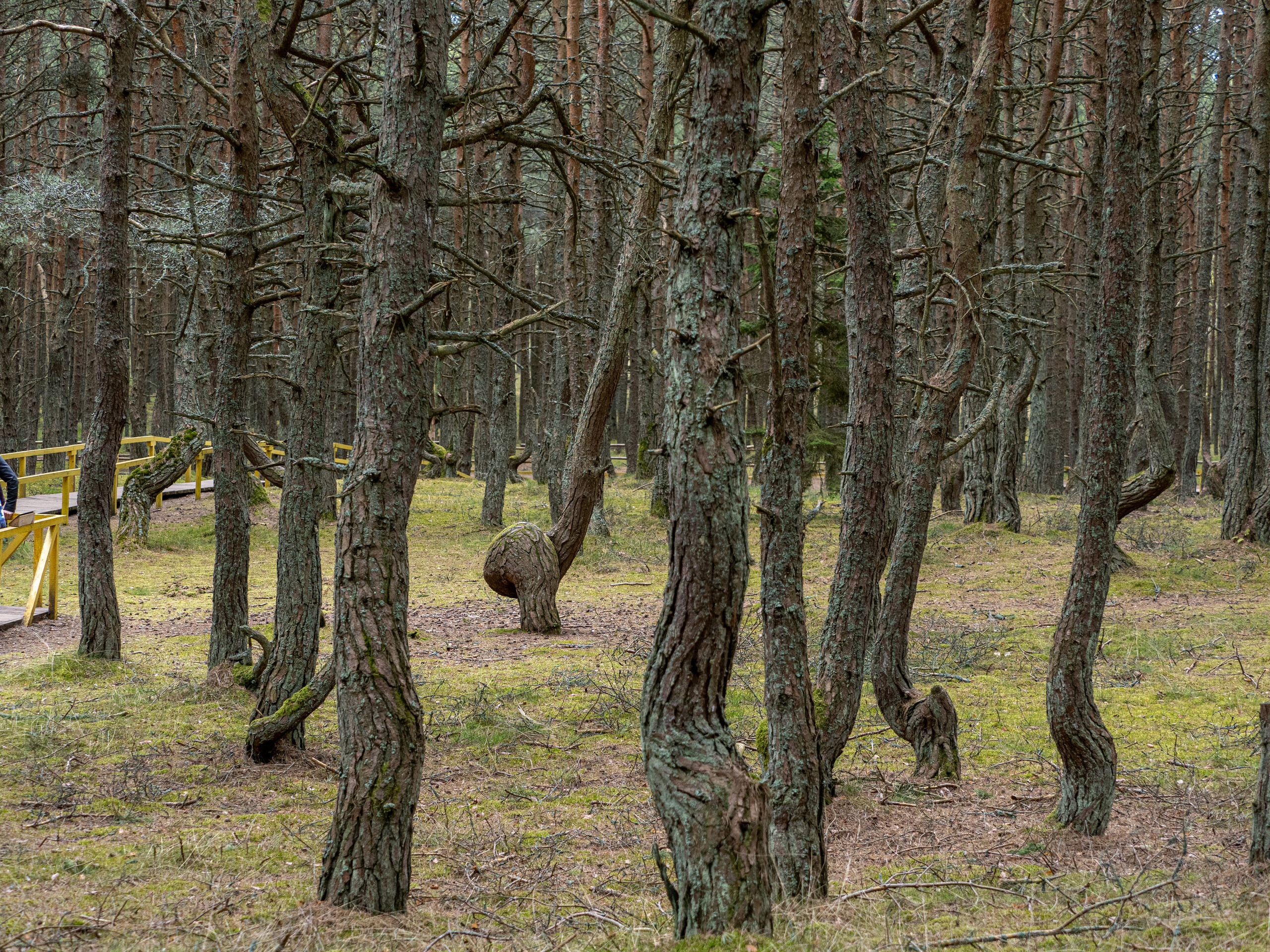 Калининград и окрестности. Творческие сьемки