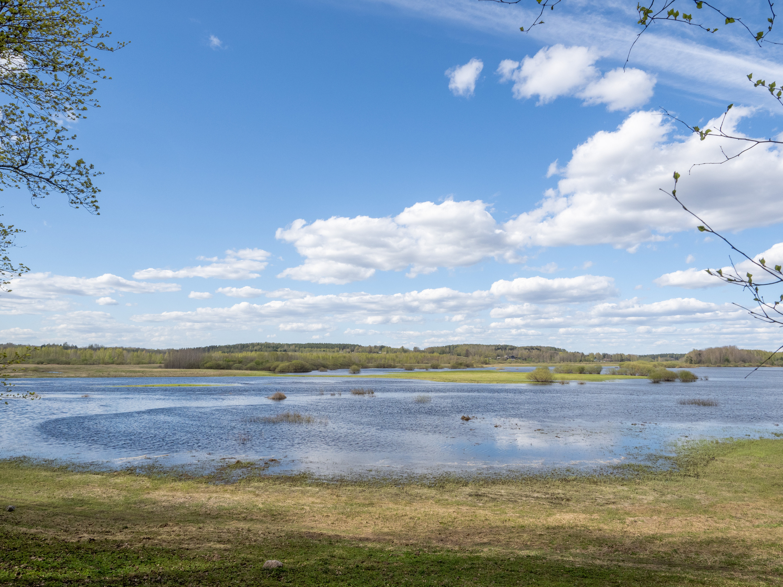 Пушкинские горы. Творческие сьемки
