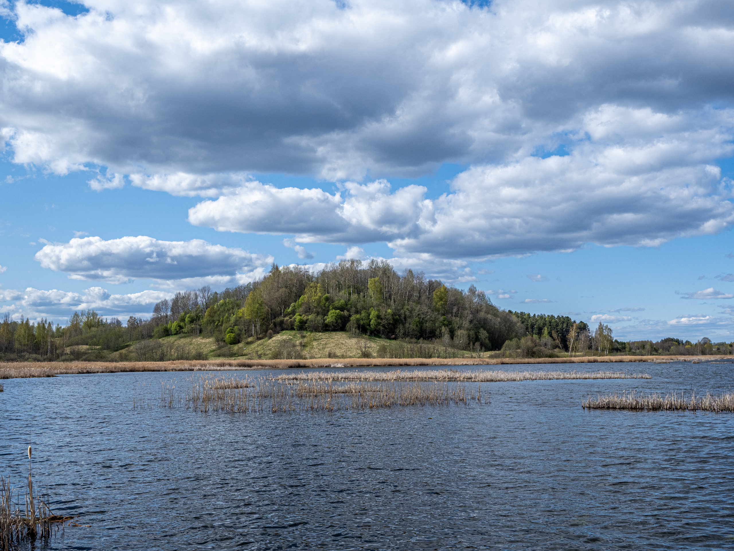 Пушкинские горы. Творческие сьемки