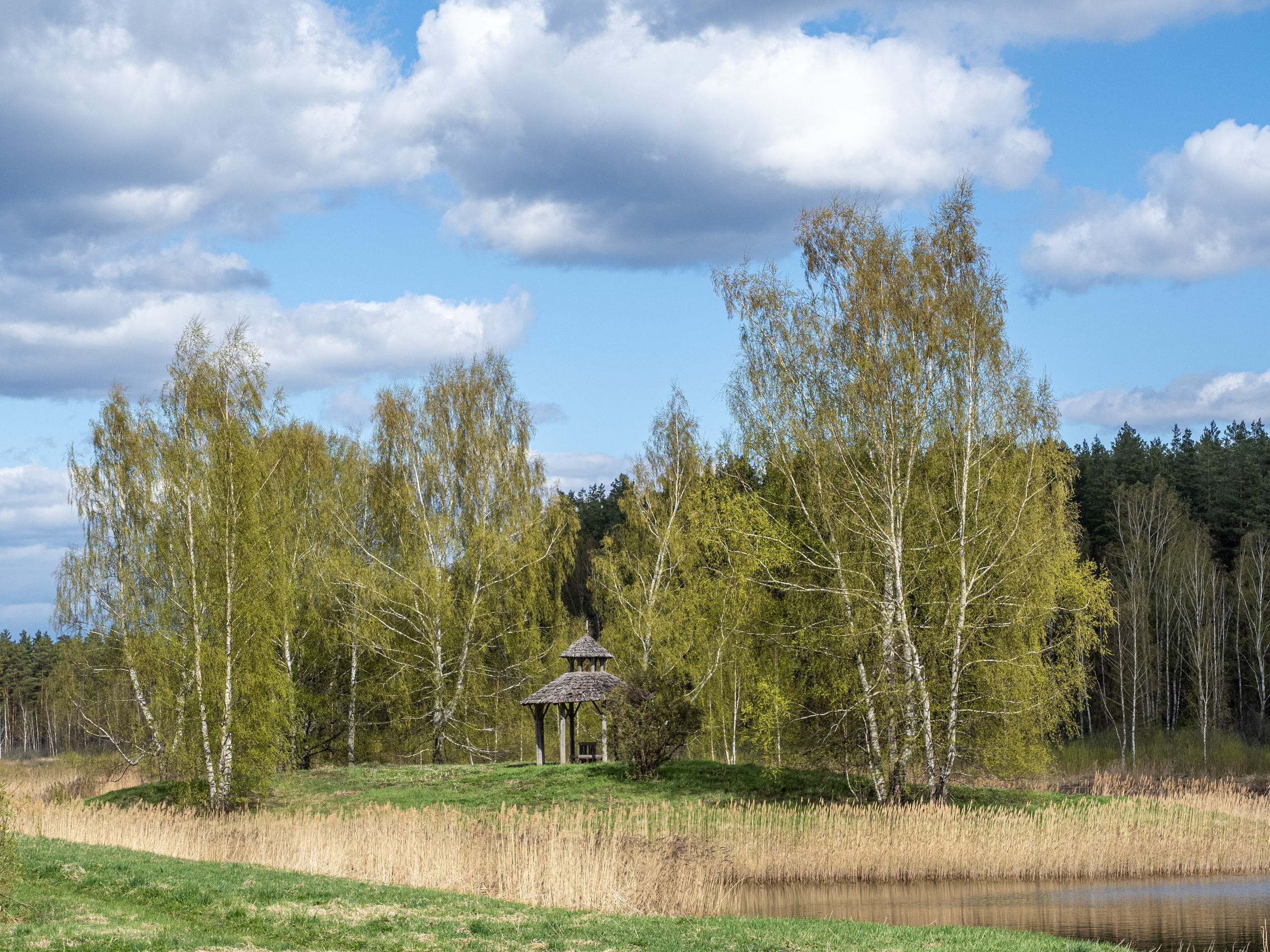 Пушкинские горы. Творческие сьемки