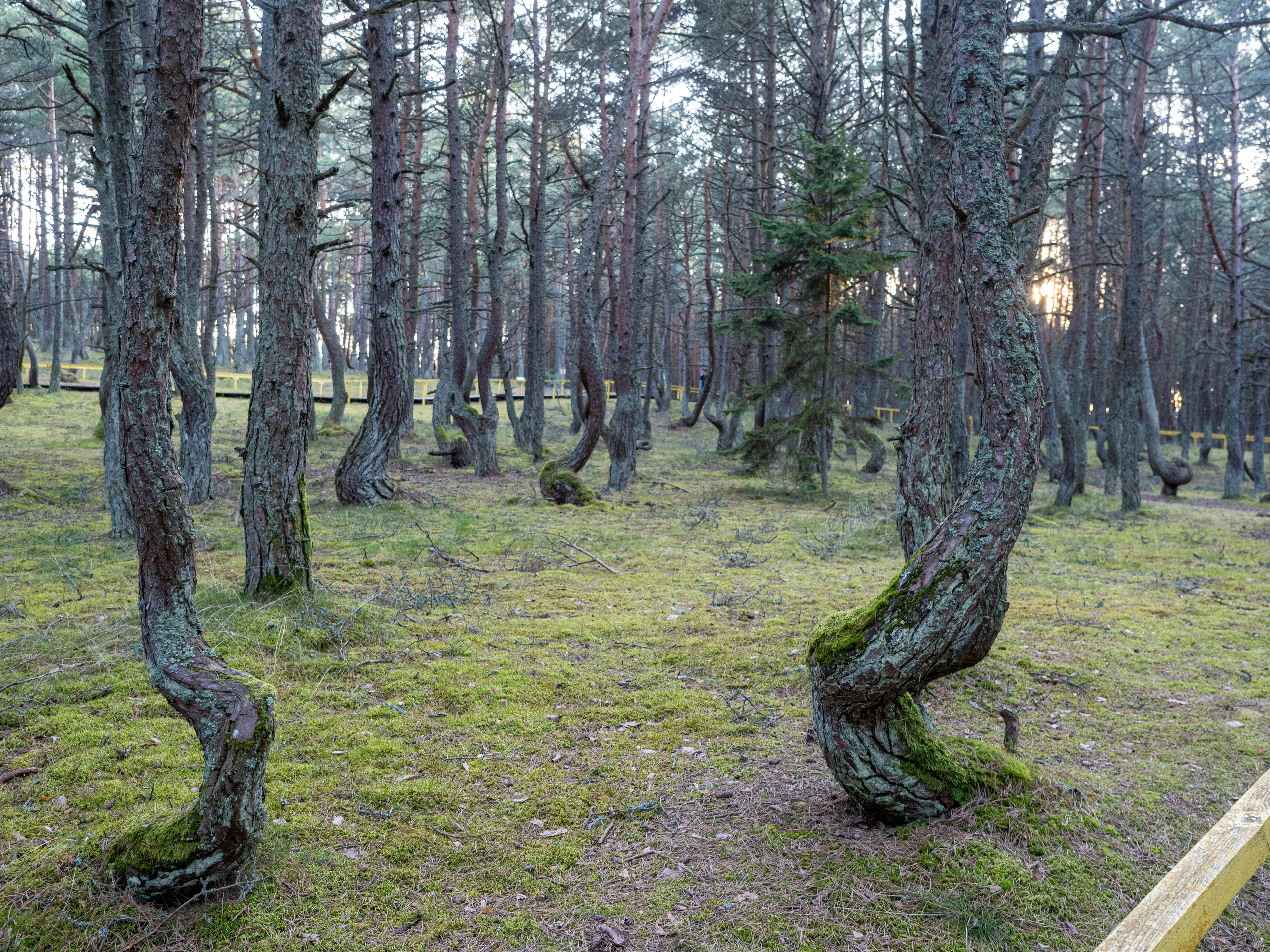 Калининград и окрестности. Творческие сьемки
