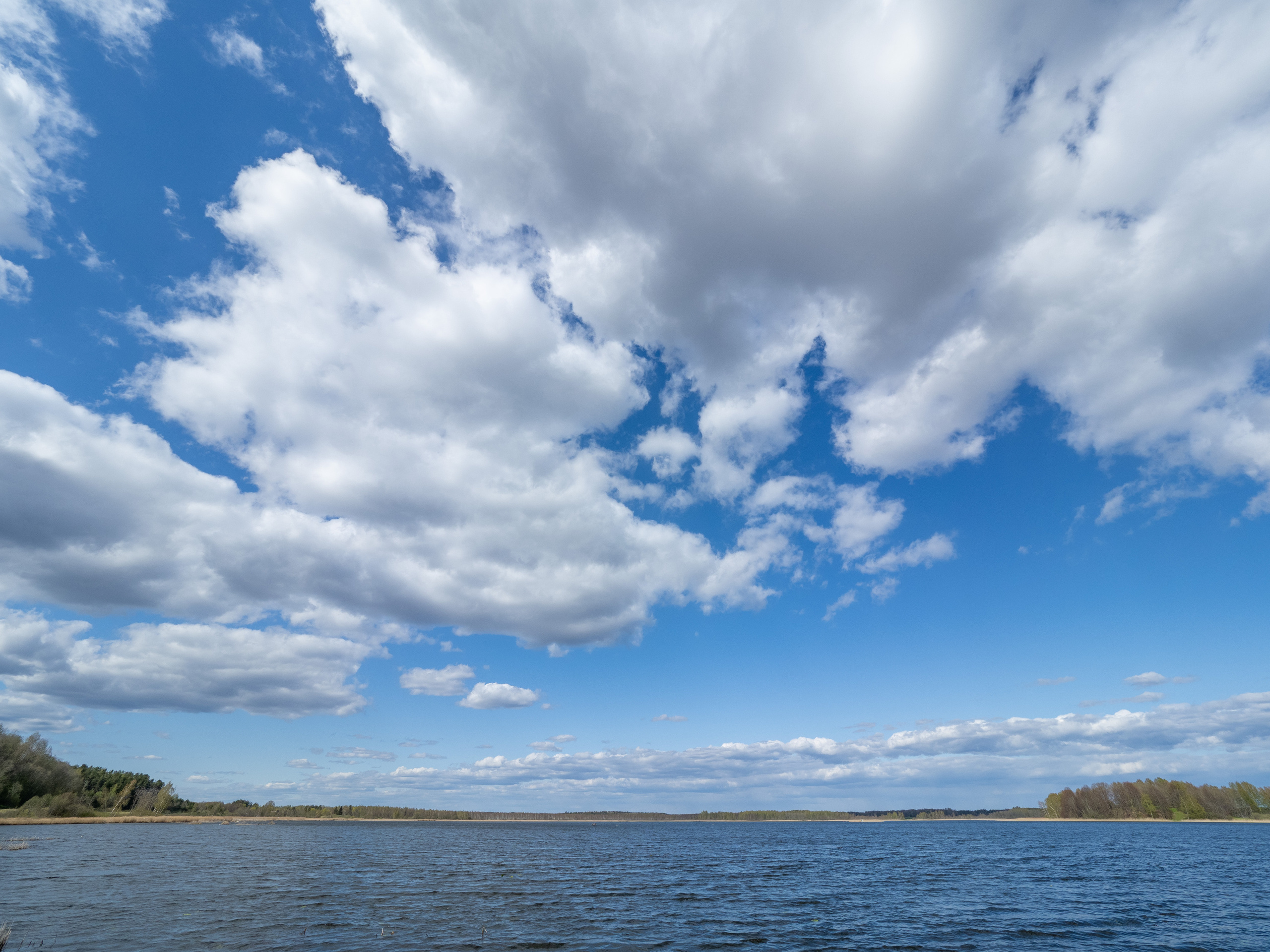 Пушкинские горы. Творческие сьемки