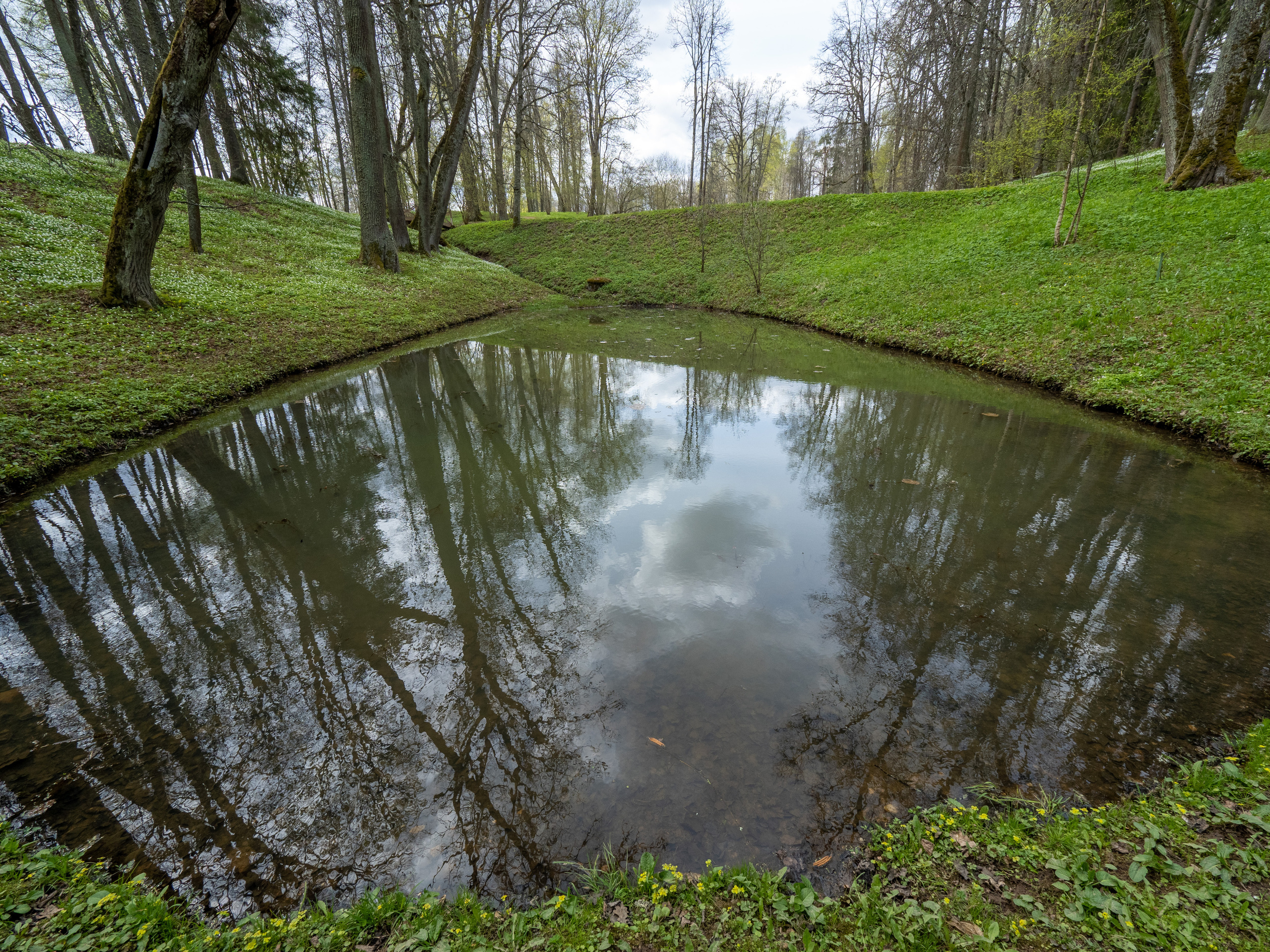Пушкинские горы. Творческие сьемки