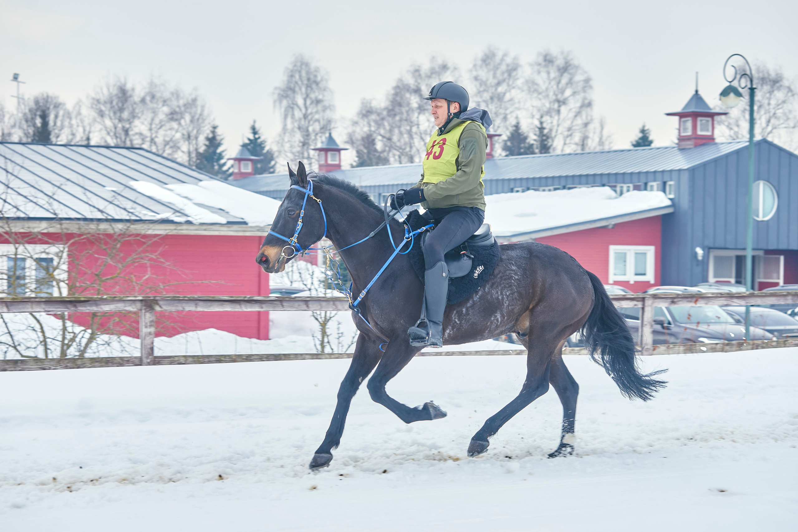 HORSE RACING. Фотограф Наталья Леонова