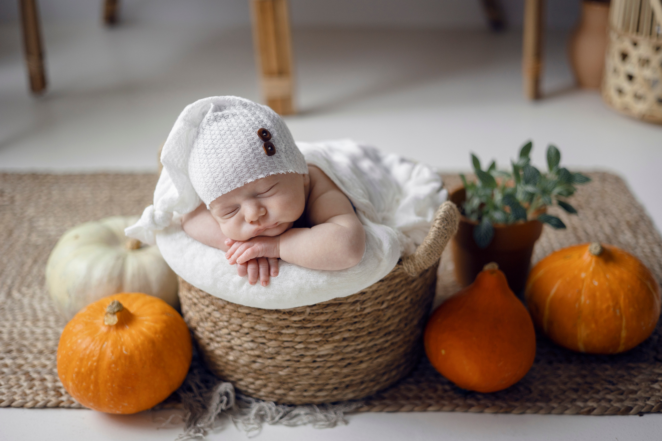 Фотографии снятые в фотостудии. Фотостудия в Балашихе Железнодорожный  — почасовая аренда, бронь онлайн