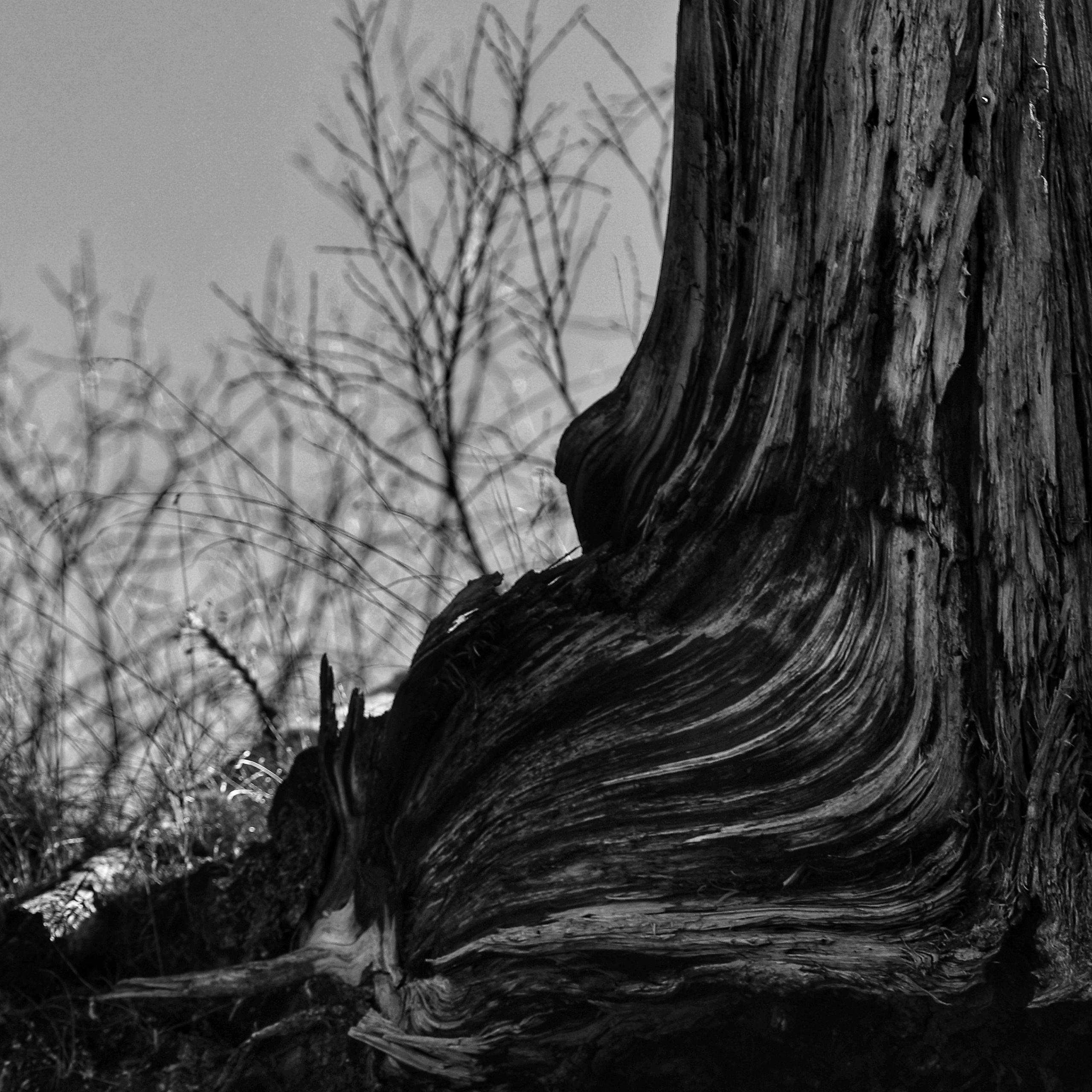 2023. Тащилин Сергей. Фотографии. Жизнь. Хобби