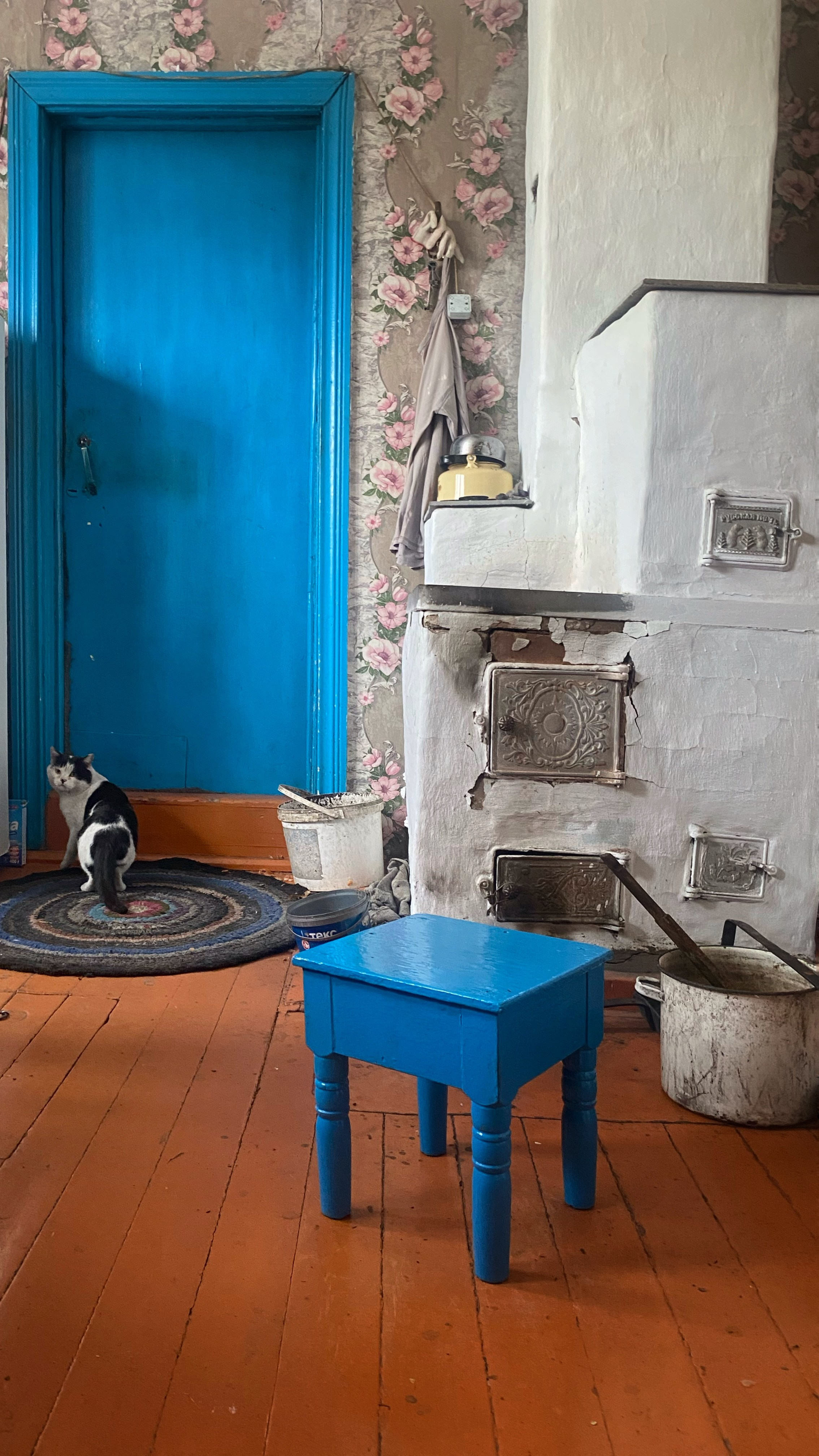 2024. Тащилин Сергей. Фотографии. Жизнь. Хобби