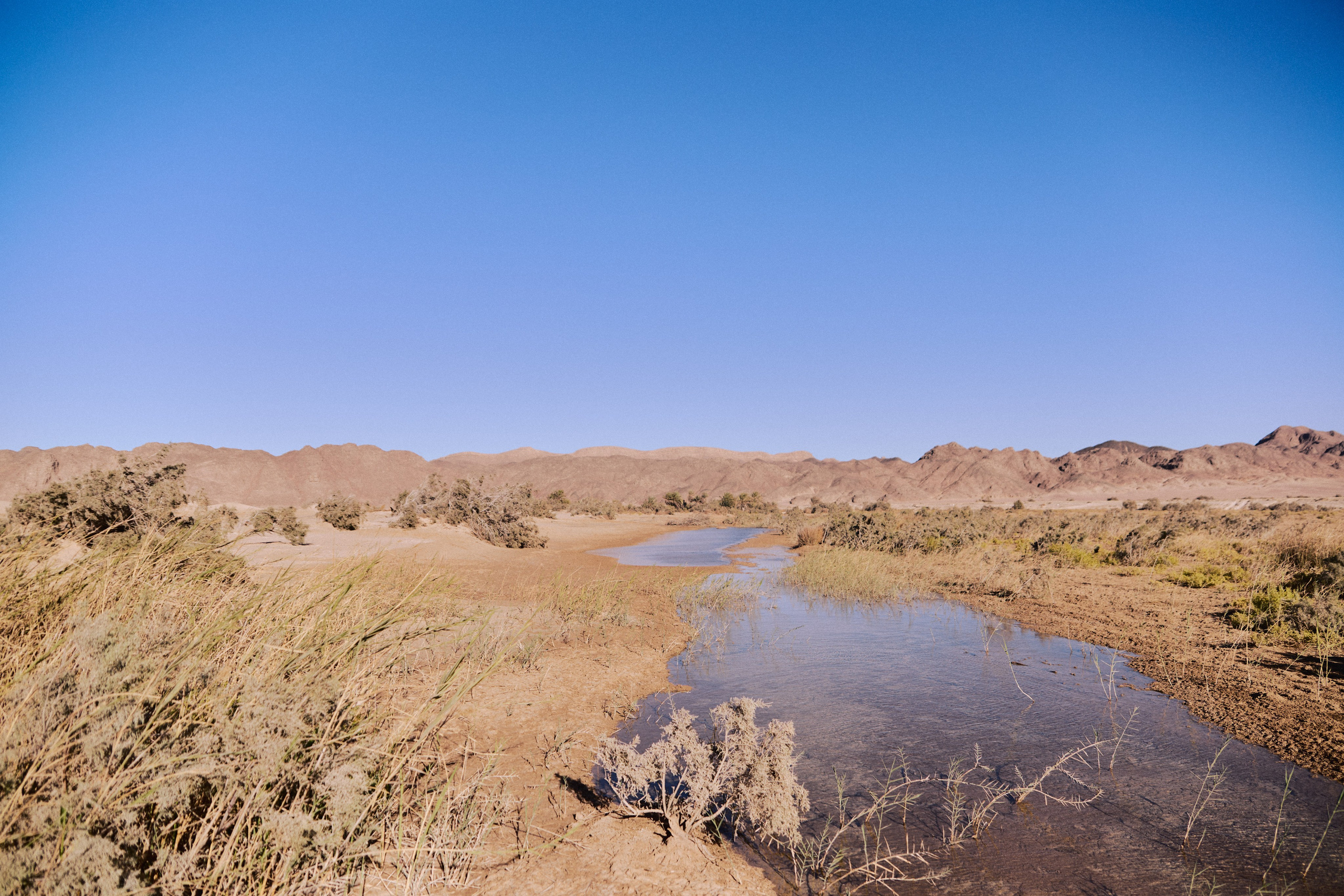 Улица горизонтальная. Jorgis — фотограф в Хургаде / обучение фотографии