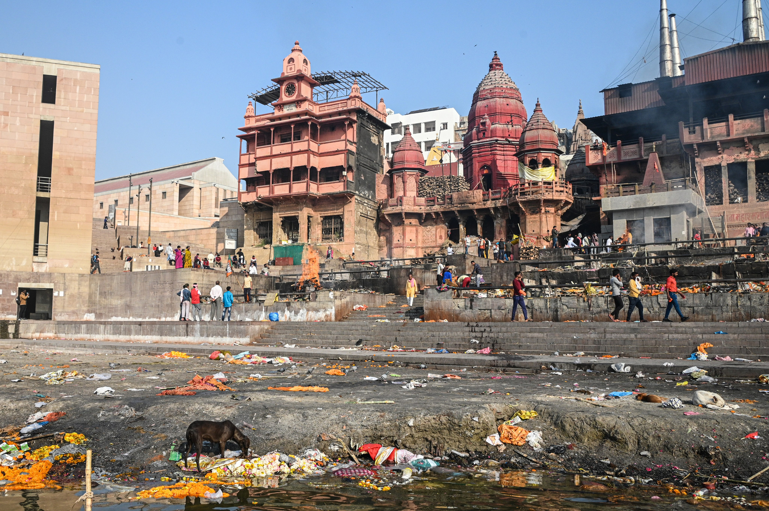 Невероятная Индия. Игорь Иванко — Репортажный и событийный фотограф. Москва
