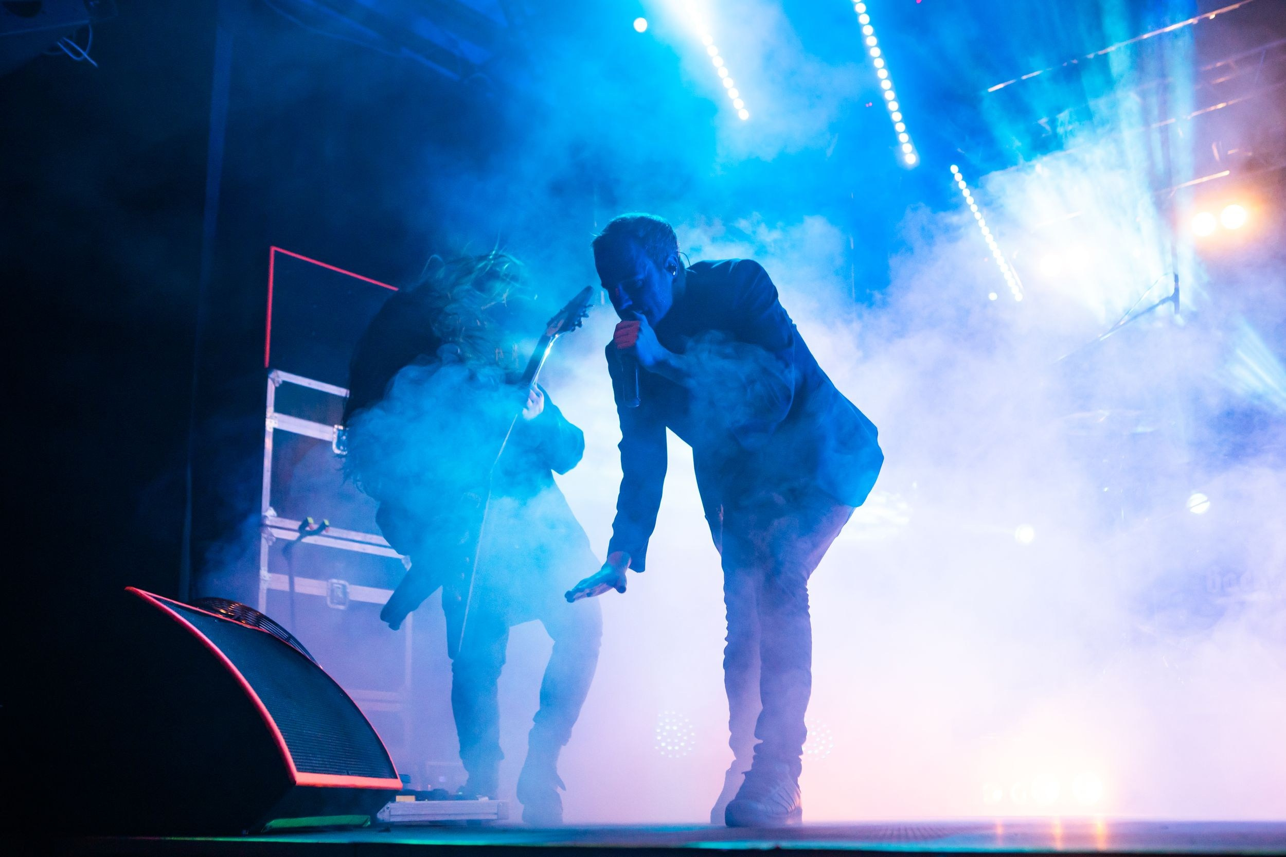 Animal ДжаZ. Репортажный фотограф Алексей Пирязев