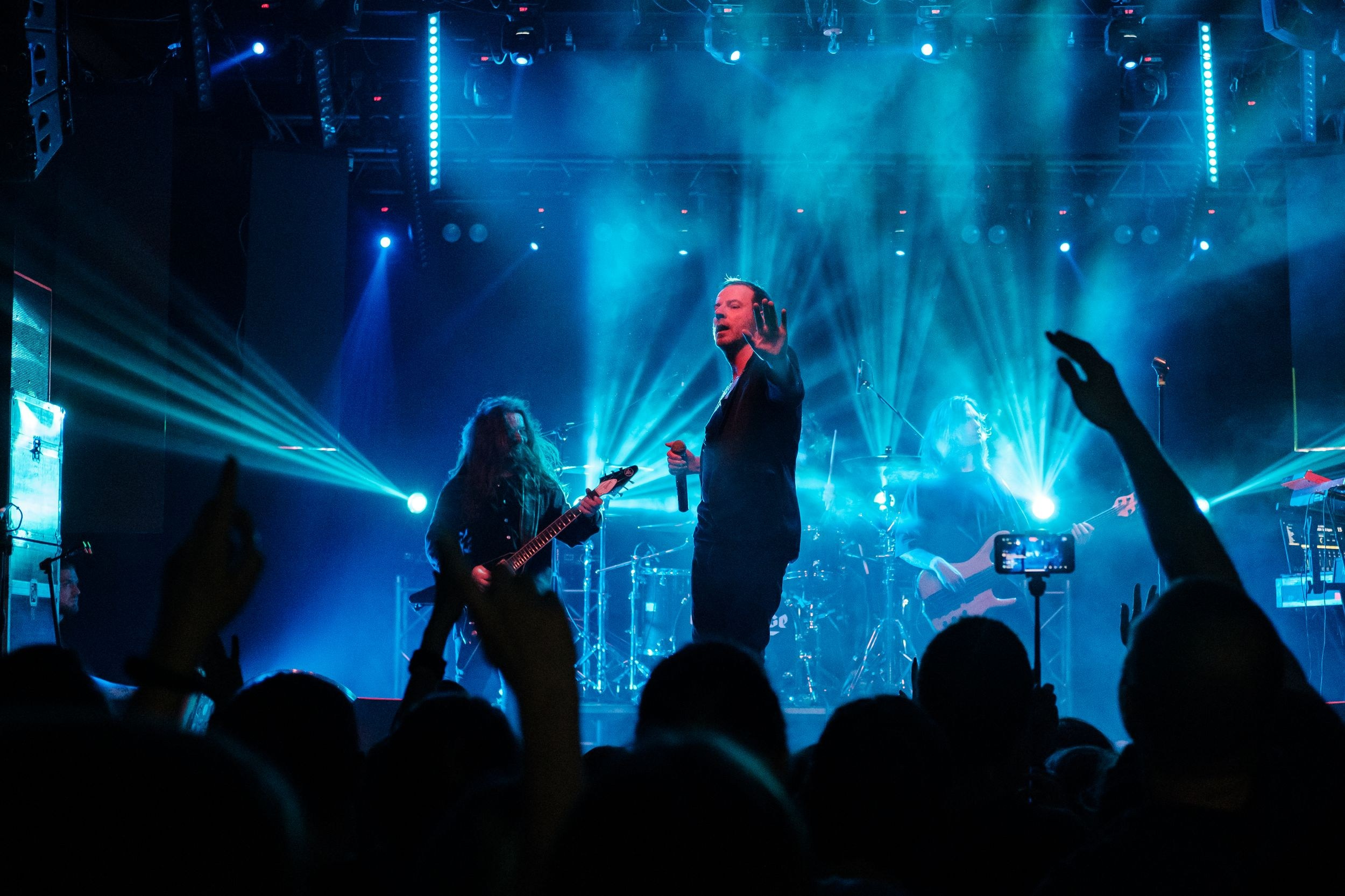 Animal ДжаZ. Репортажный фотограф Алексей Пирязев