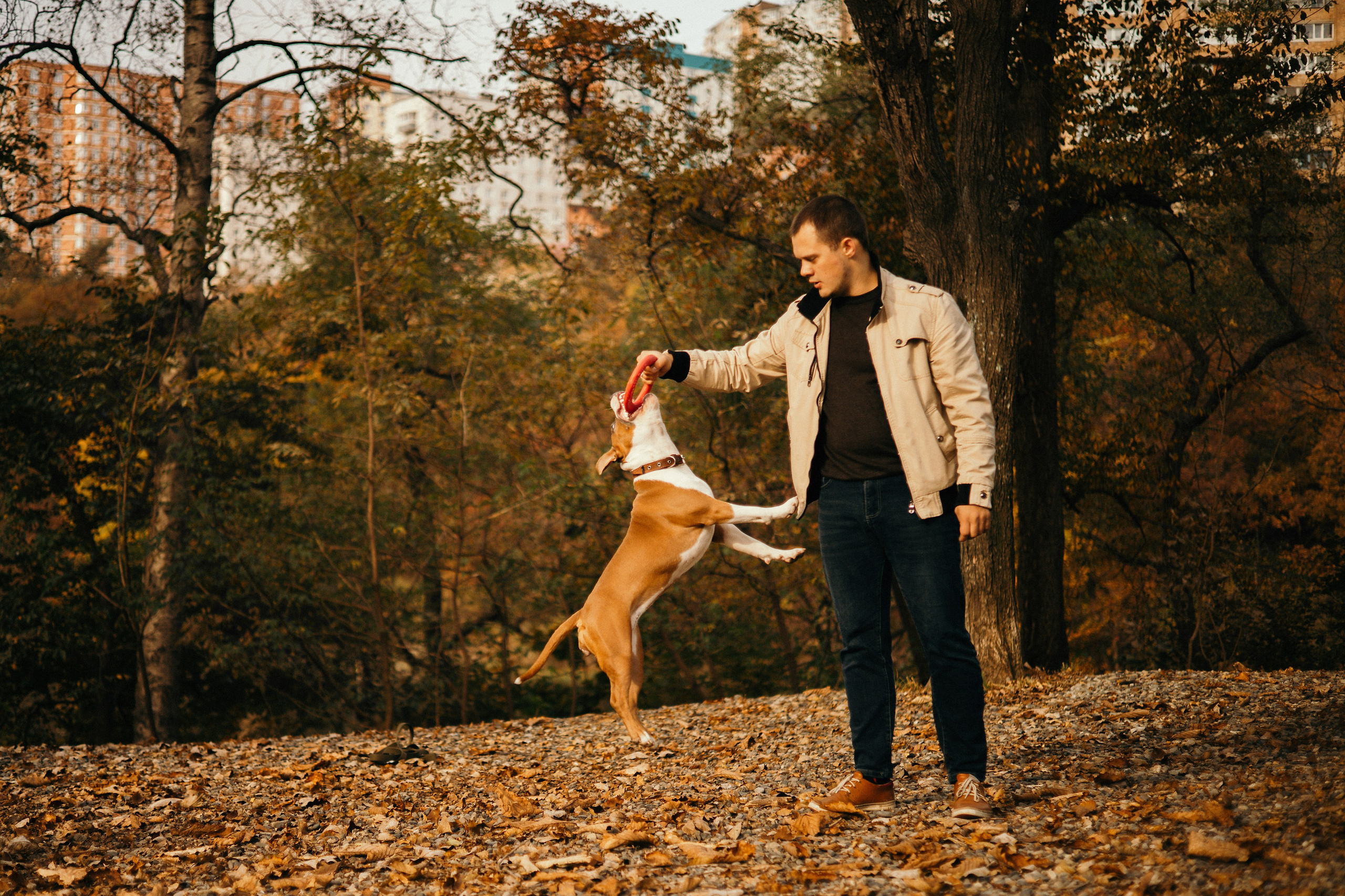 Лаффи и ее семья. Фотограф — анималист Владивосток, Алина