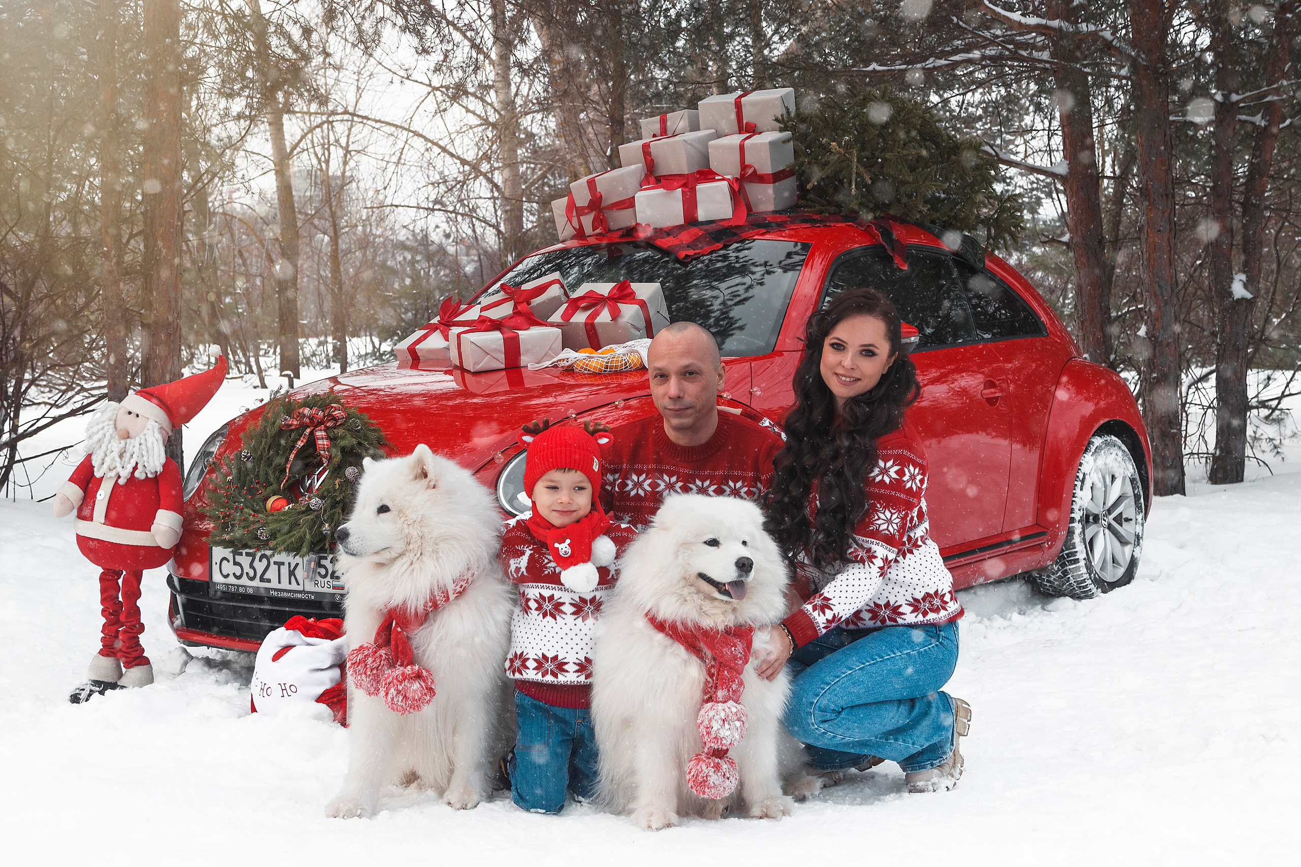 Новогодний красный жук. Фотограф Ольга Бобб Нижний Новгород