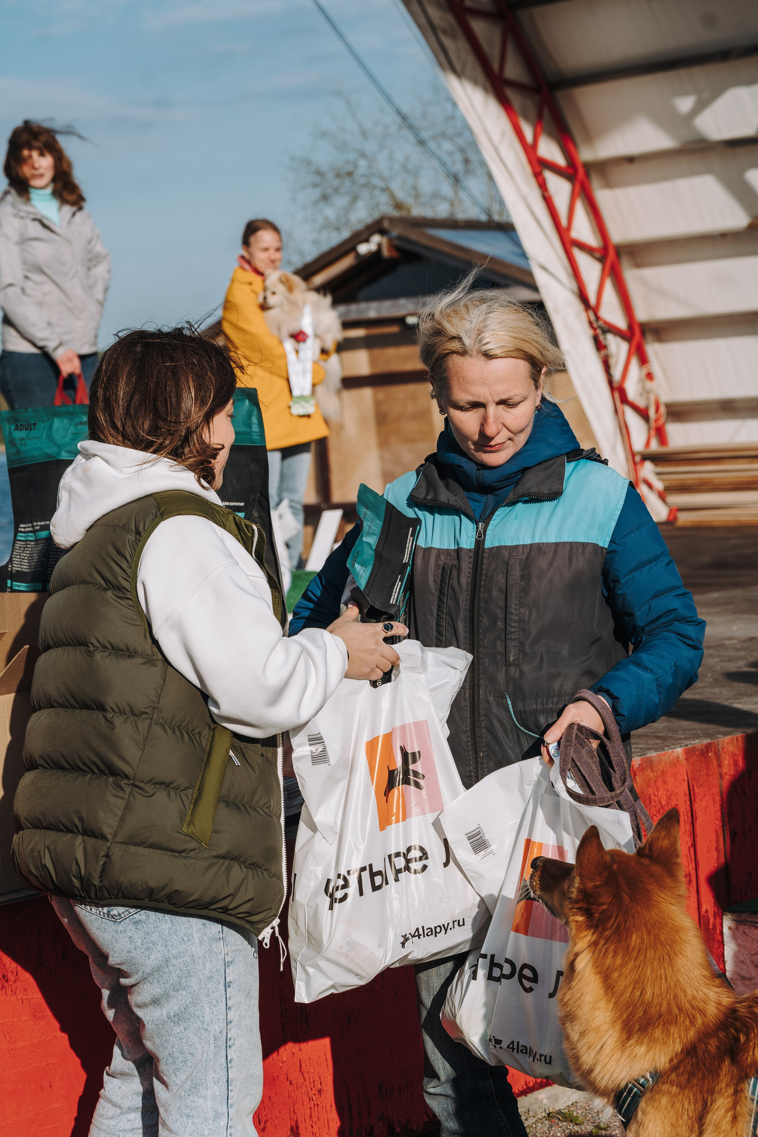 Соревнования по ноузворку в Лосево. Фотограф анималист в Спб недорого Олеся Майорова