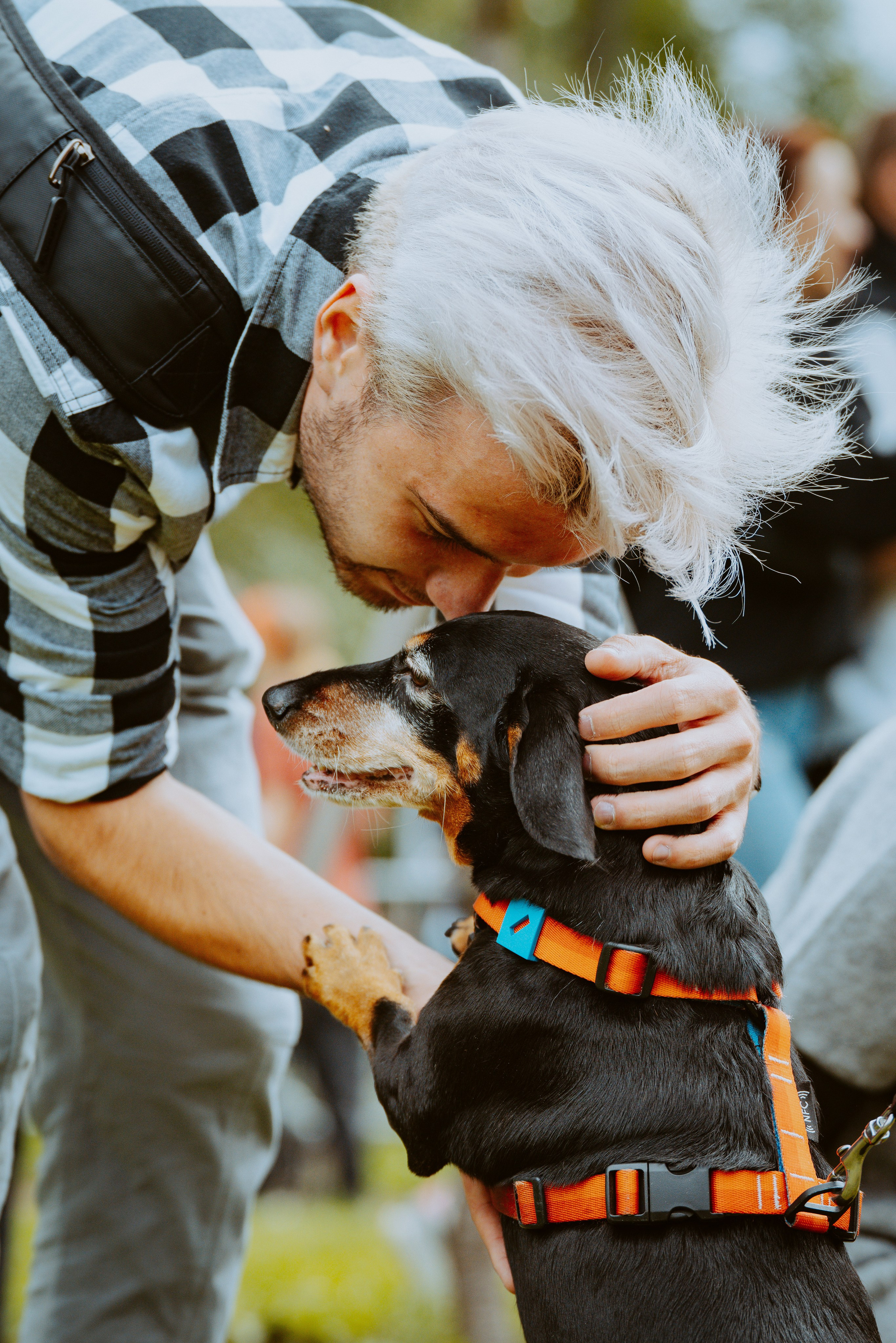 Такспарад. Фотограф анималист в Спб недорого Олеся Майорова