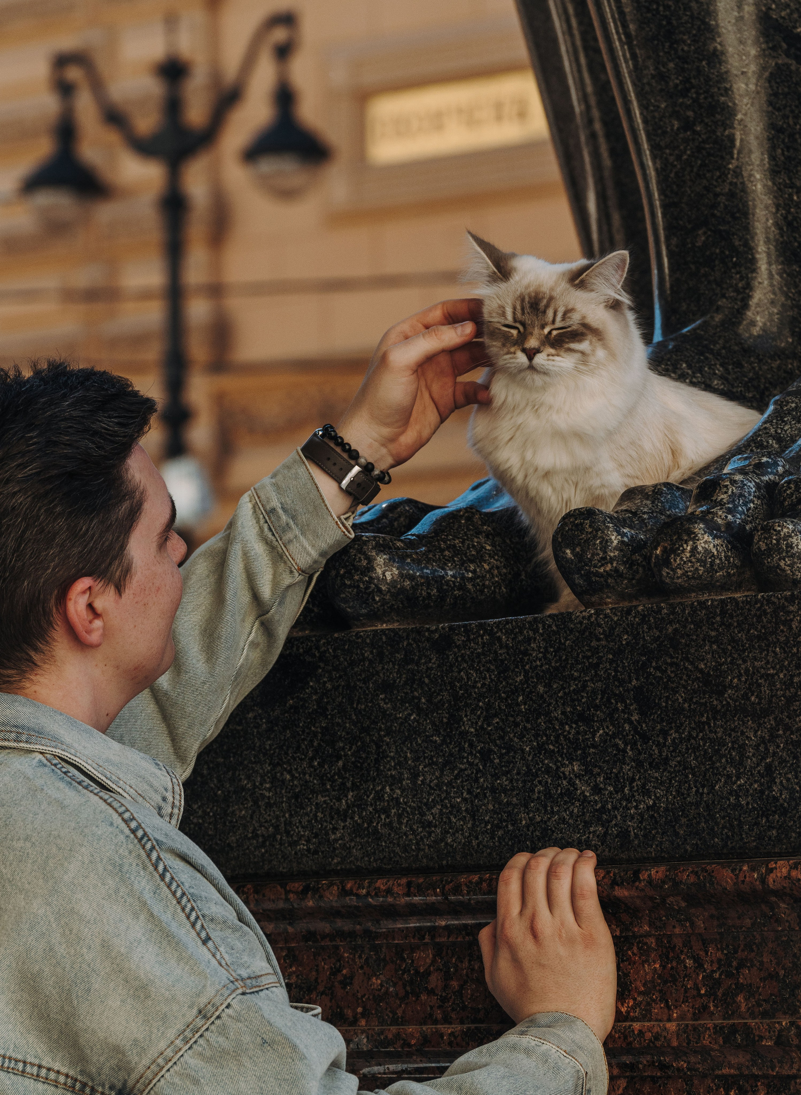 Сильвия, Полина и Никита. Фотограф анималист в Спб недорого Олеся Майорова