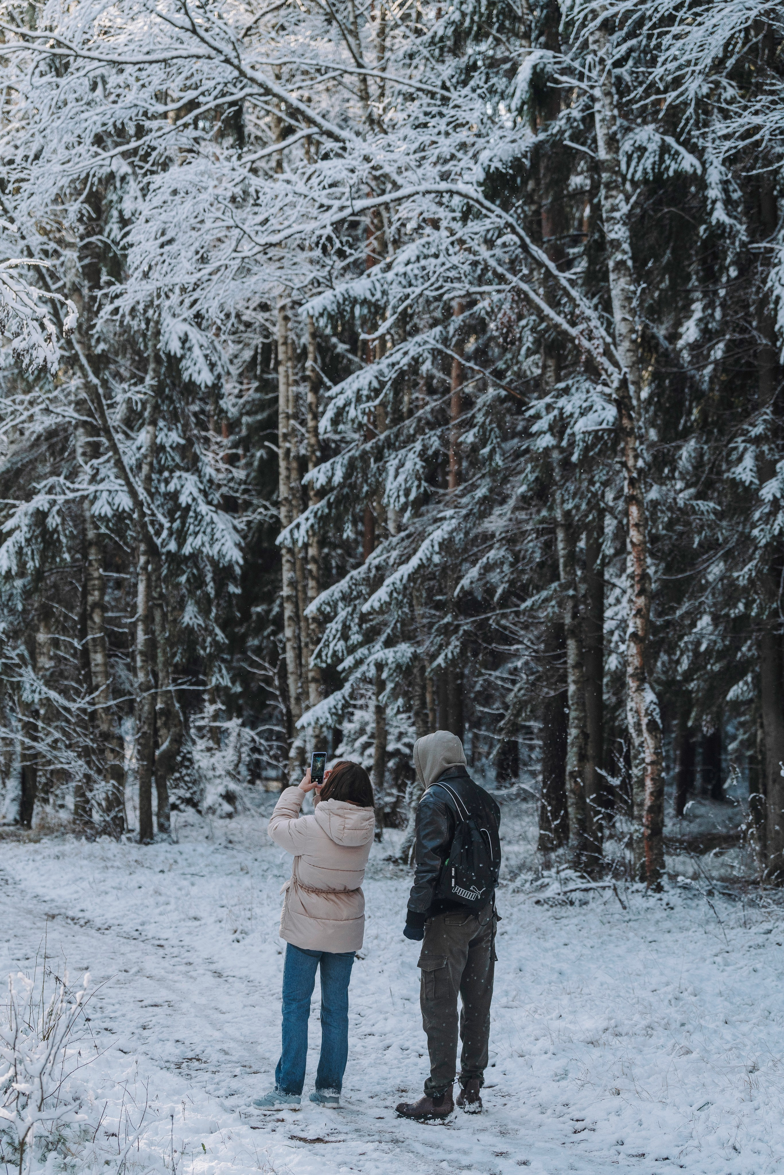 Аня и Честер. Фотограф анималист в Спб недорого Олеся Майорова