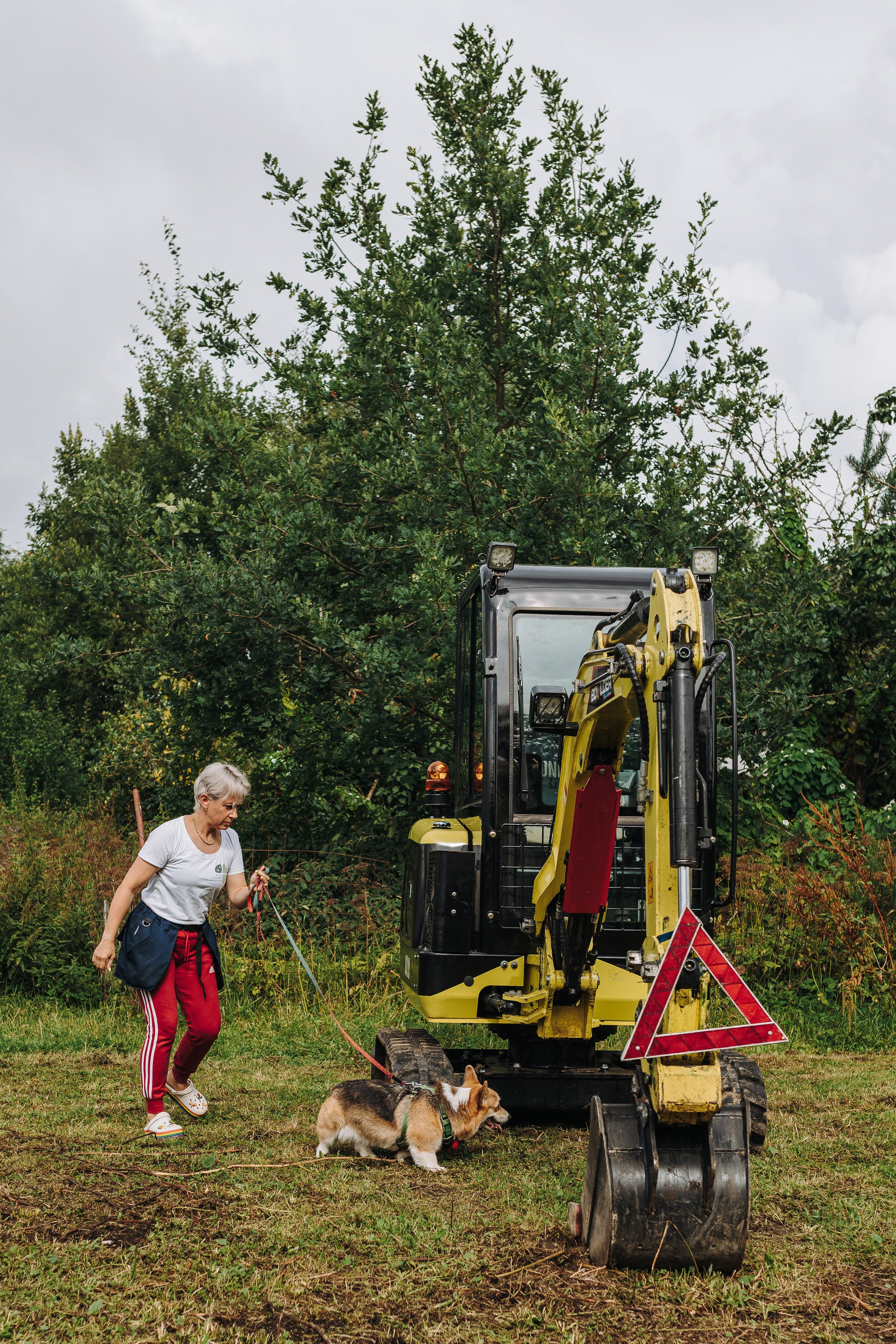 Соревнования по ноузворку в Новожилово. Фотограф анималист в Спб недорого Олеся Майорова
