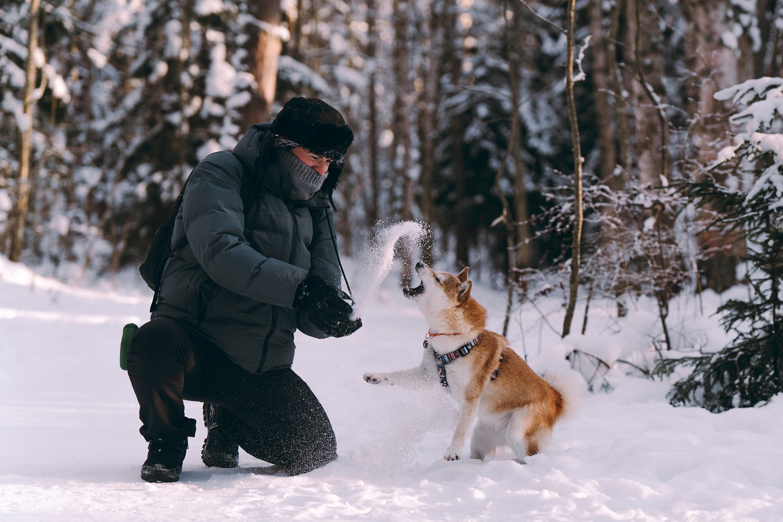 Каори, Анна и Антон. Фотограф анималист в Спб недорого Олеся Майорова