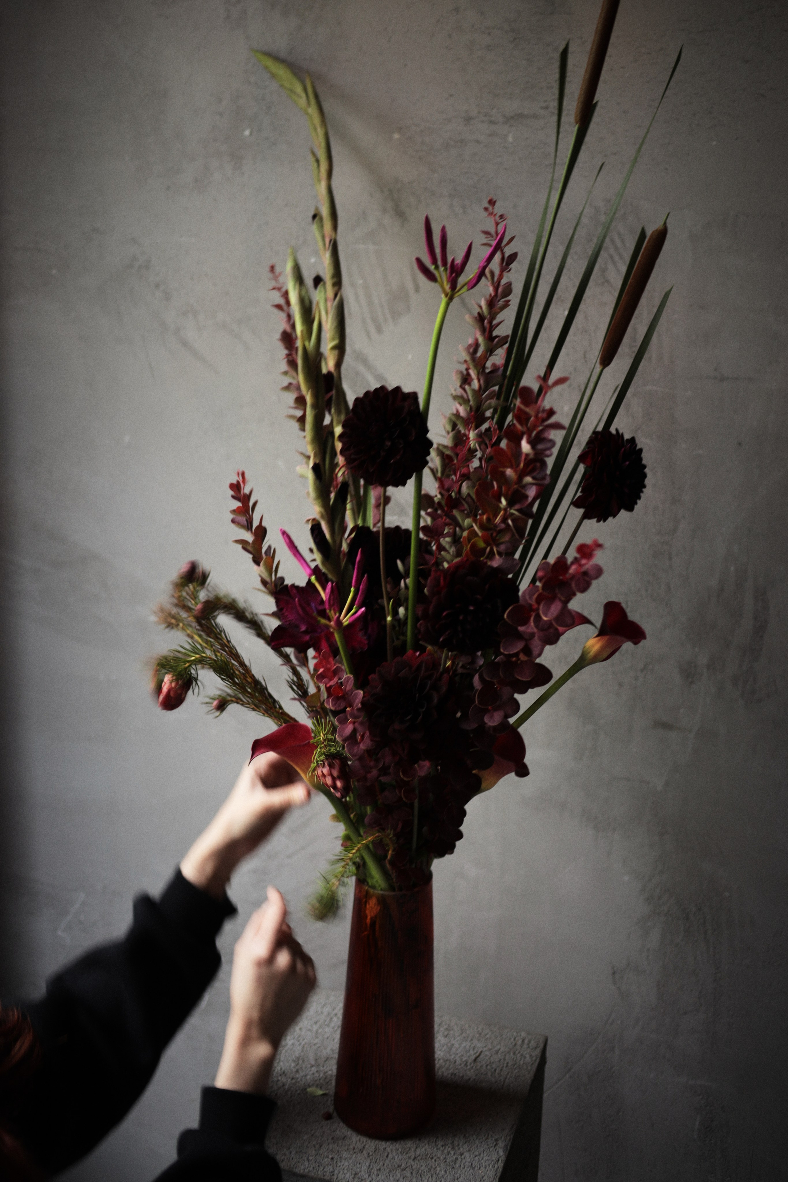 Flowers. Виктория Калугина — фотограф и видеомейкер в Москве