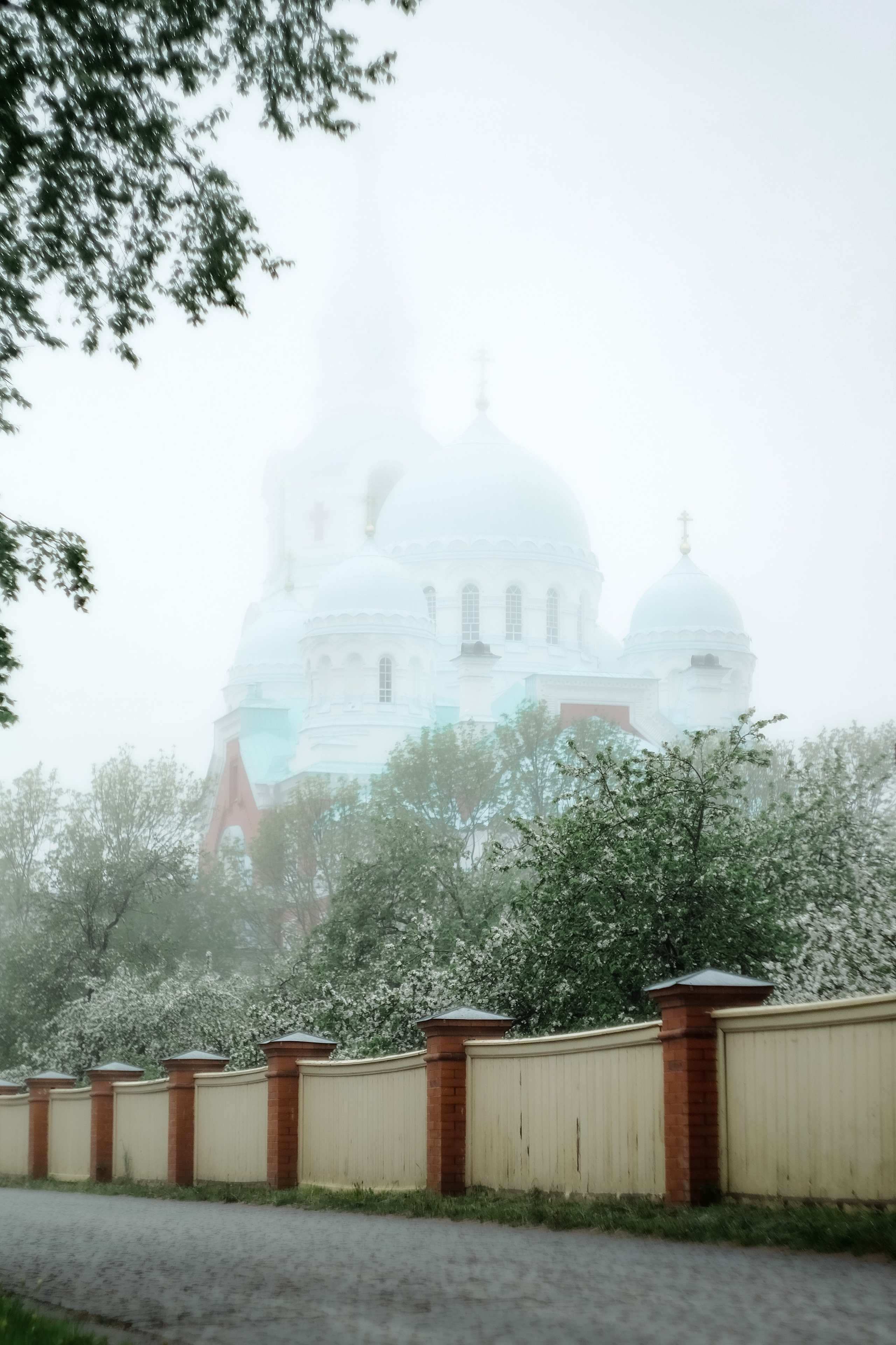 Природа. Трандин Иван Фотограф СПб