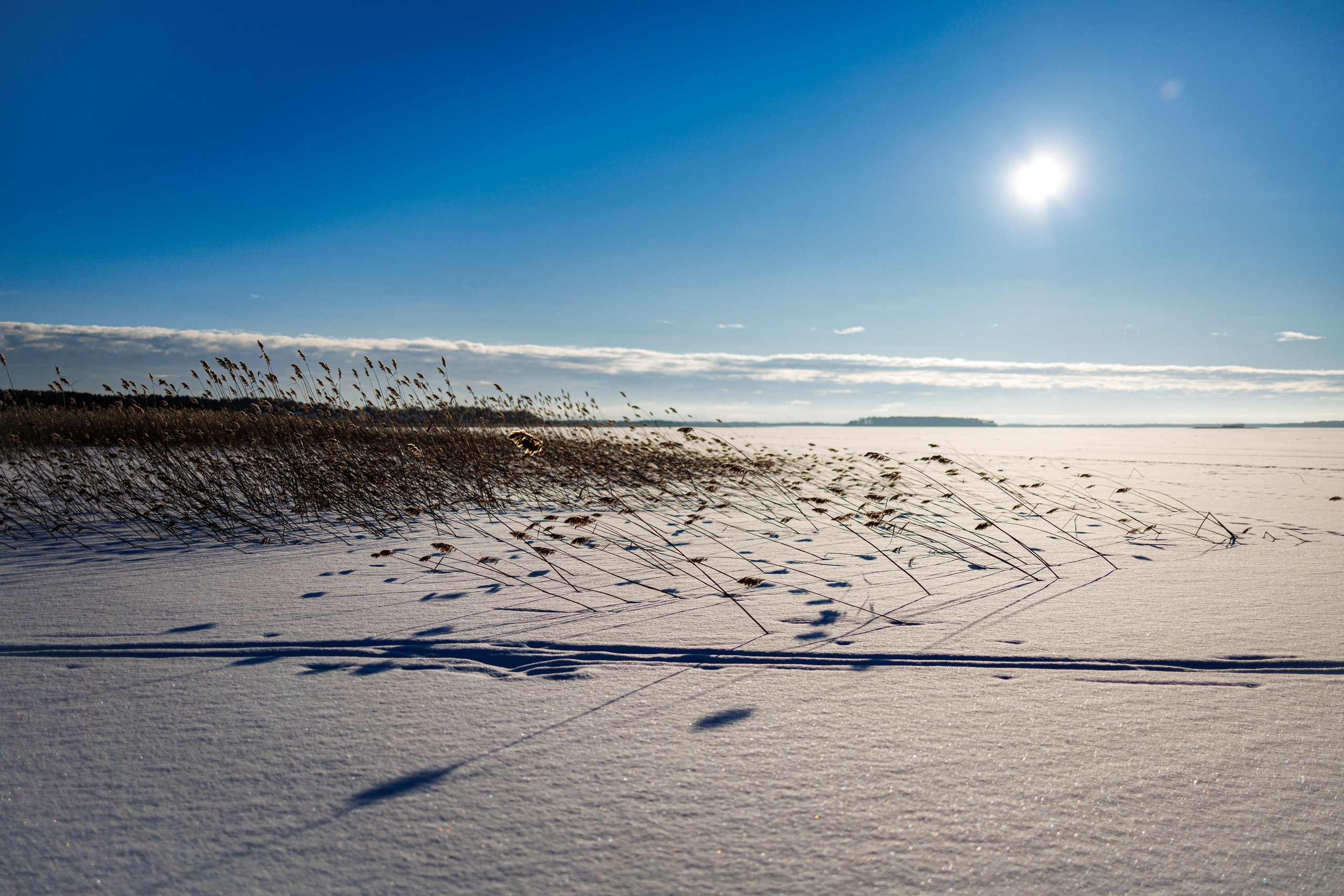 Авторская фотография и эстетика Петербурга | Роман Карбышев. Репортажный фотограф | Снимки за 3 дня | СПБ и ЛО