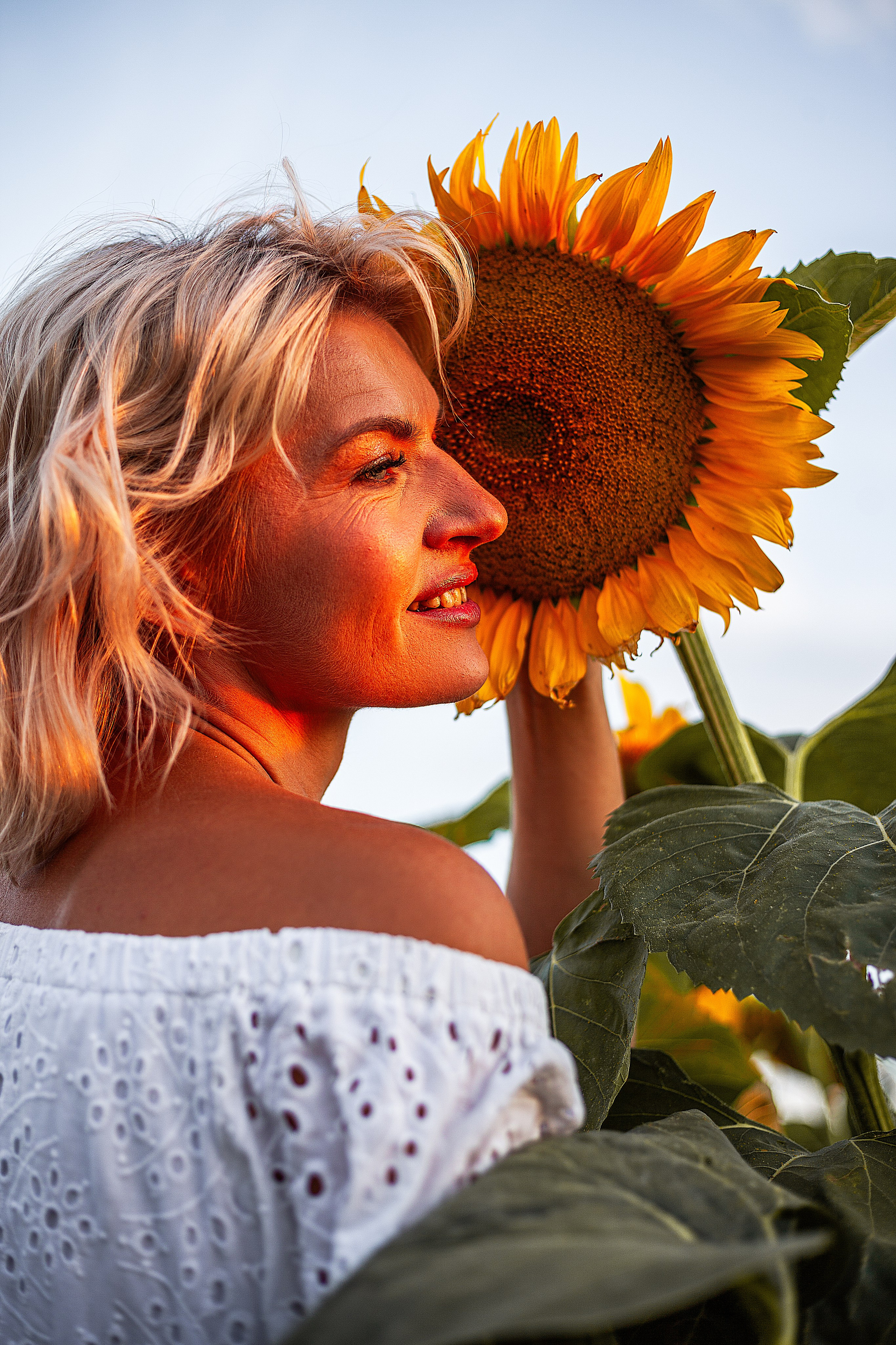 Подсолнухи!