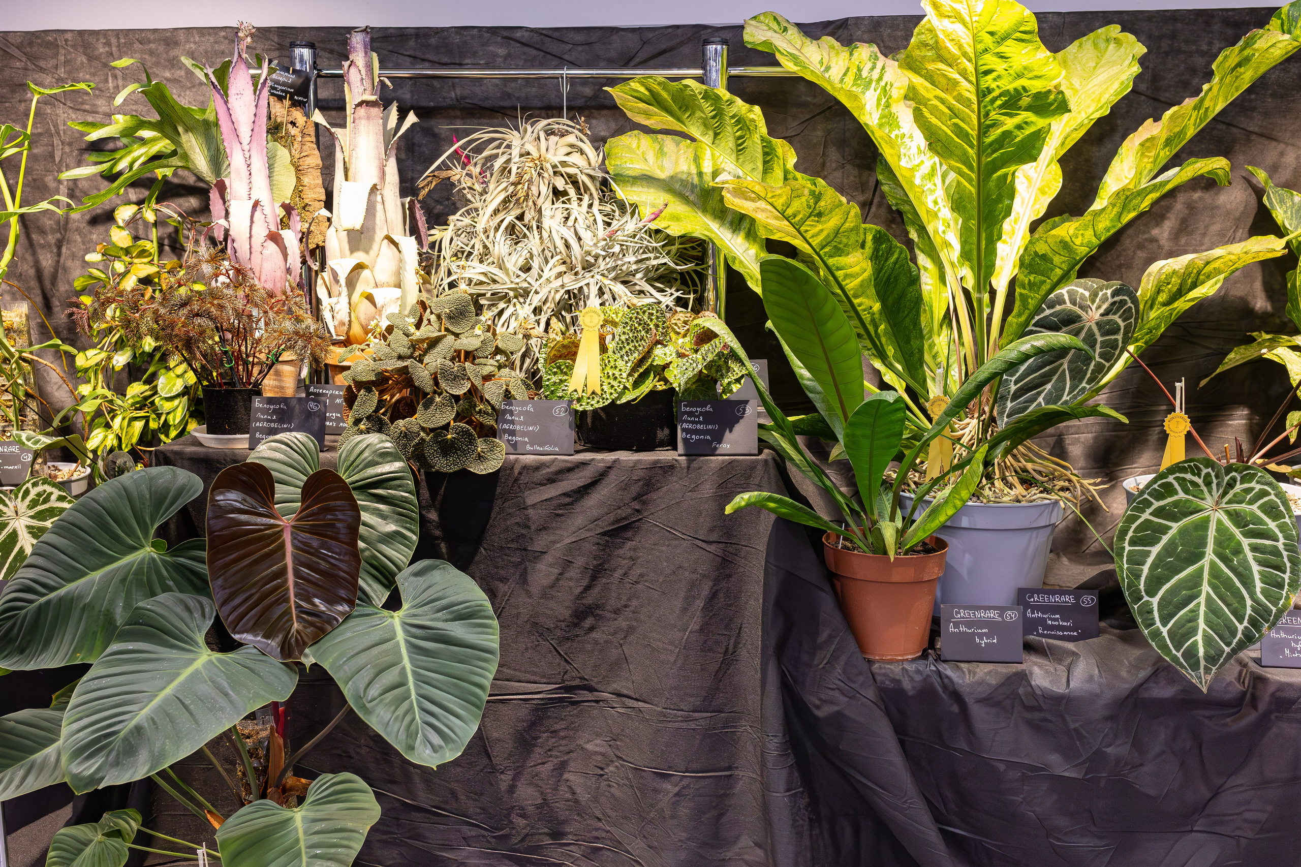 Монстериум 11–12 октября. Александра Куликова фотограф, Москва