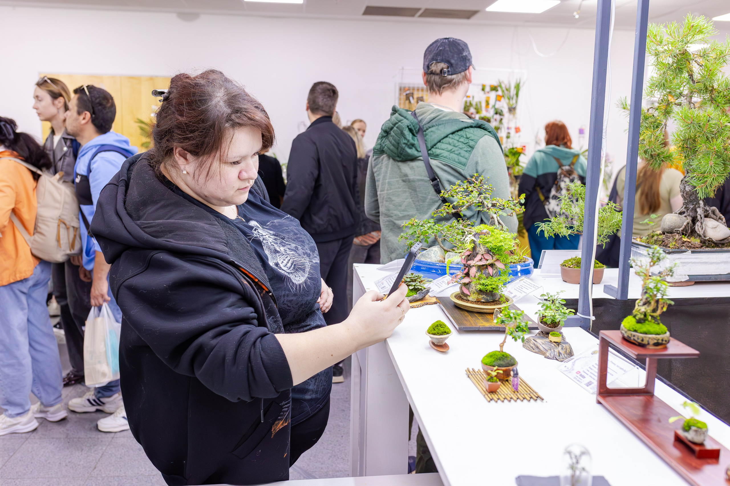 Орхидиум сентябрь 2025. Александра Куликова фотограф, Москва