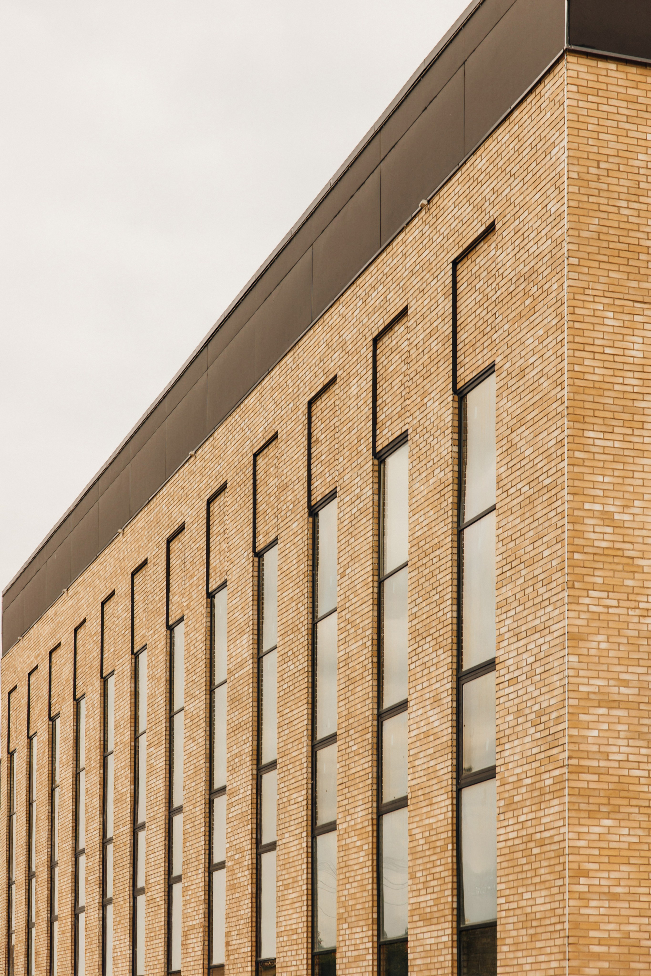 СТАДИОН МЯГКОВА. АЛТ Портфолио