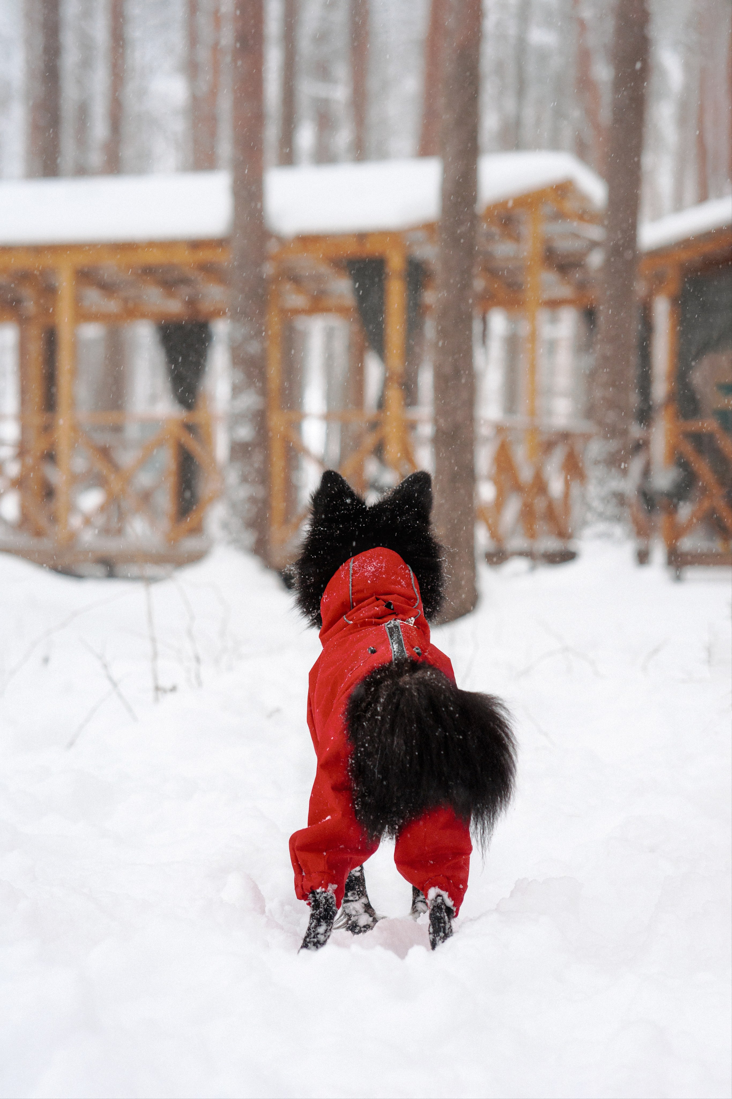 Сестры. Фотограф в Санкт-Петербурге Алёна Губинская