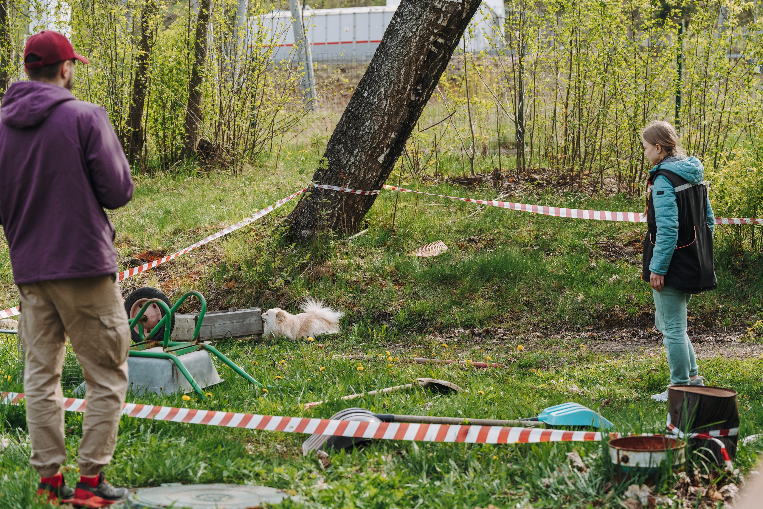 Соревнования по ноузворку в Лосево. Фотограф анималист в Спб недорого Олеся Майорова