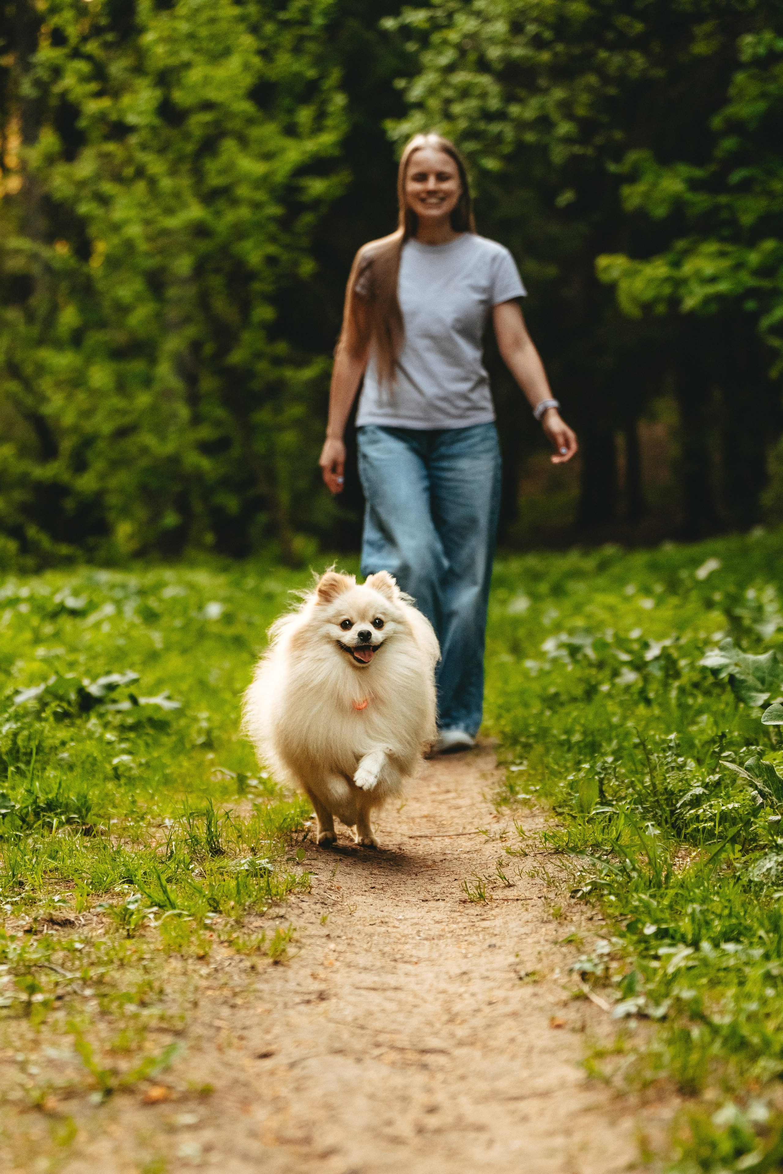 Фотосессия с собачкой в лесу. Фотограф анималист в Спб недорого Олеся Майорова
