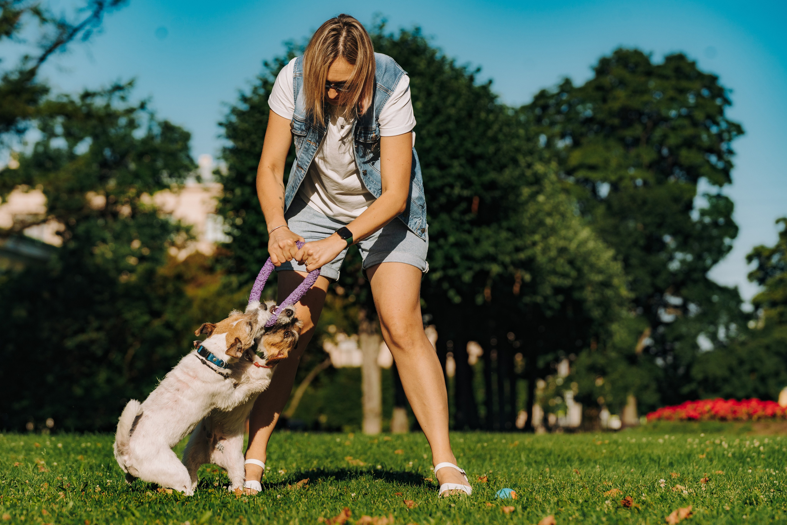 Ларс, Лукас и Ольга. Фотограф анималист в Спб недорого Олеся Майорова