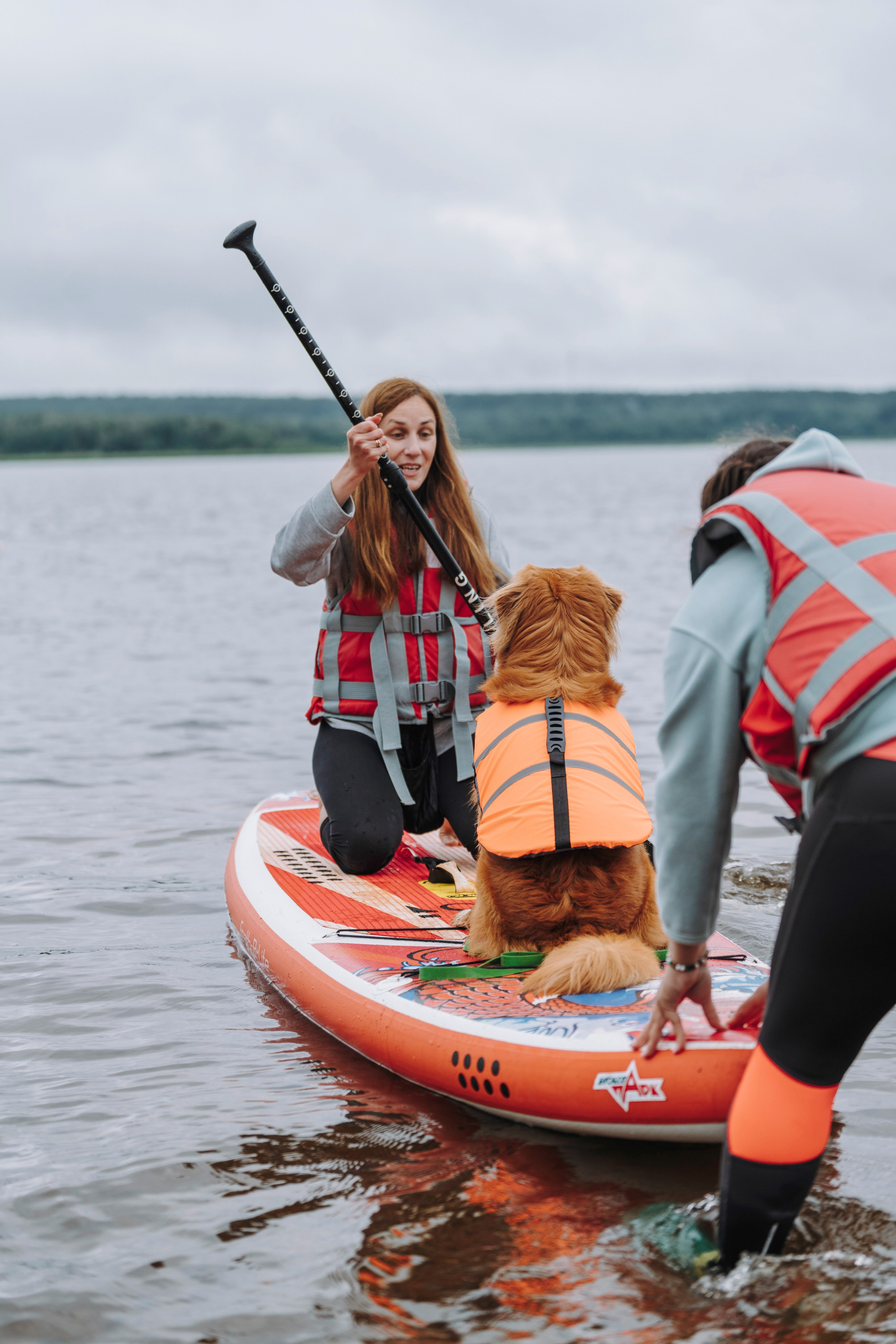 Катание на сапах с собаками. Фотограф анималист в Спб недорого Олеся Майорова